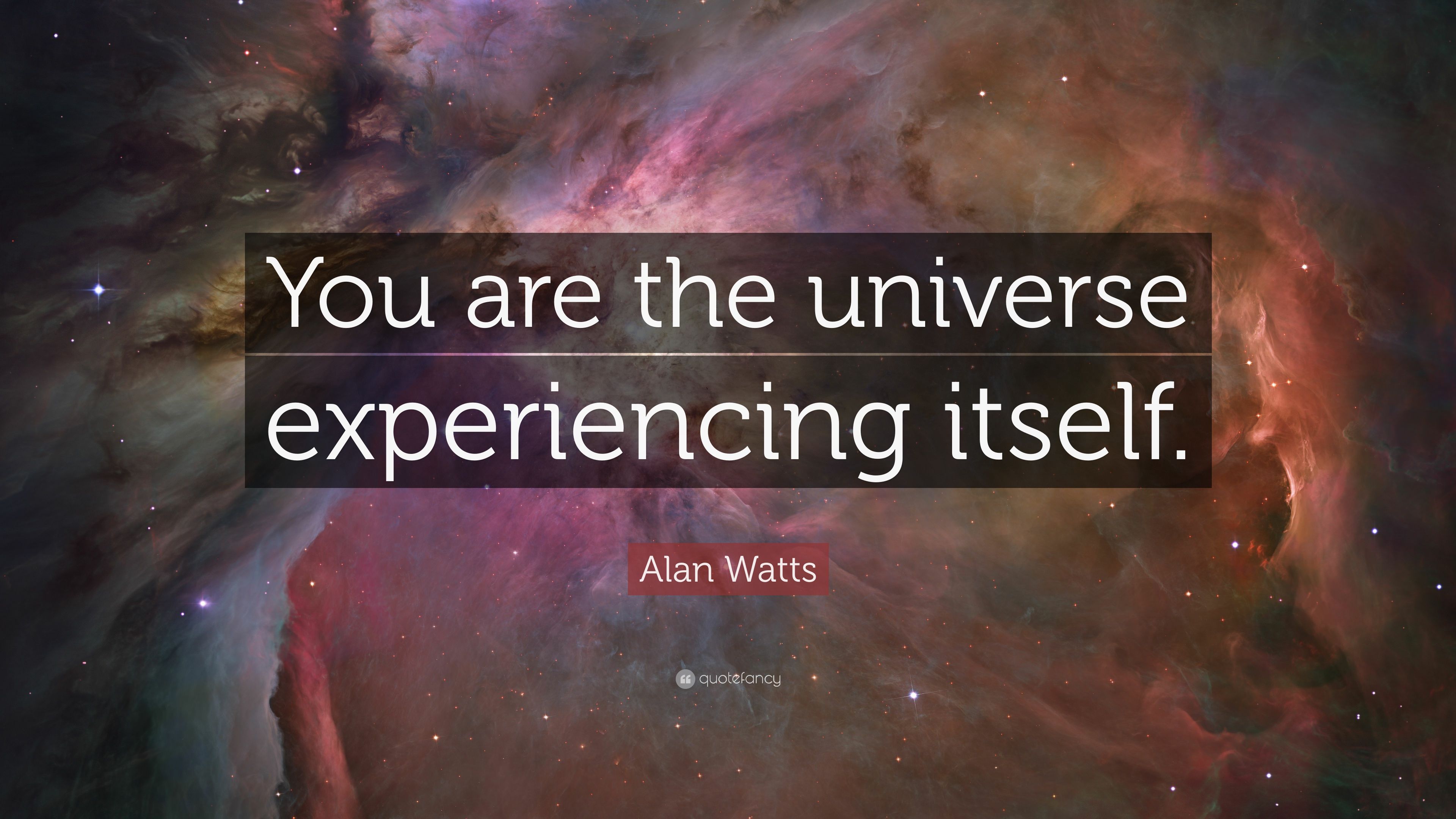 Top 50 Alan Watts Quotes.