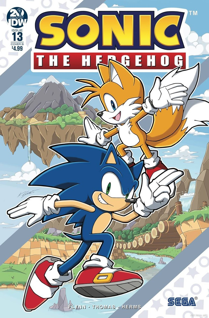 IDW Sonic The Hedgehog Comic Book 13. Sonic, Sonic the hedgehog, Hedgehog
