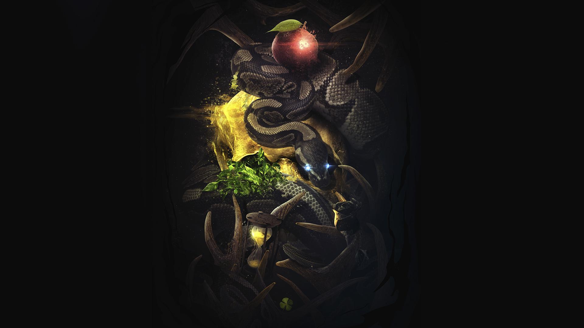 Vanitas Wallpapers - Wallpaper Cave