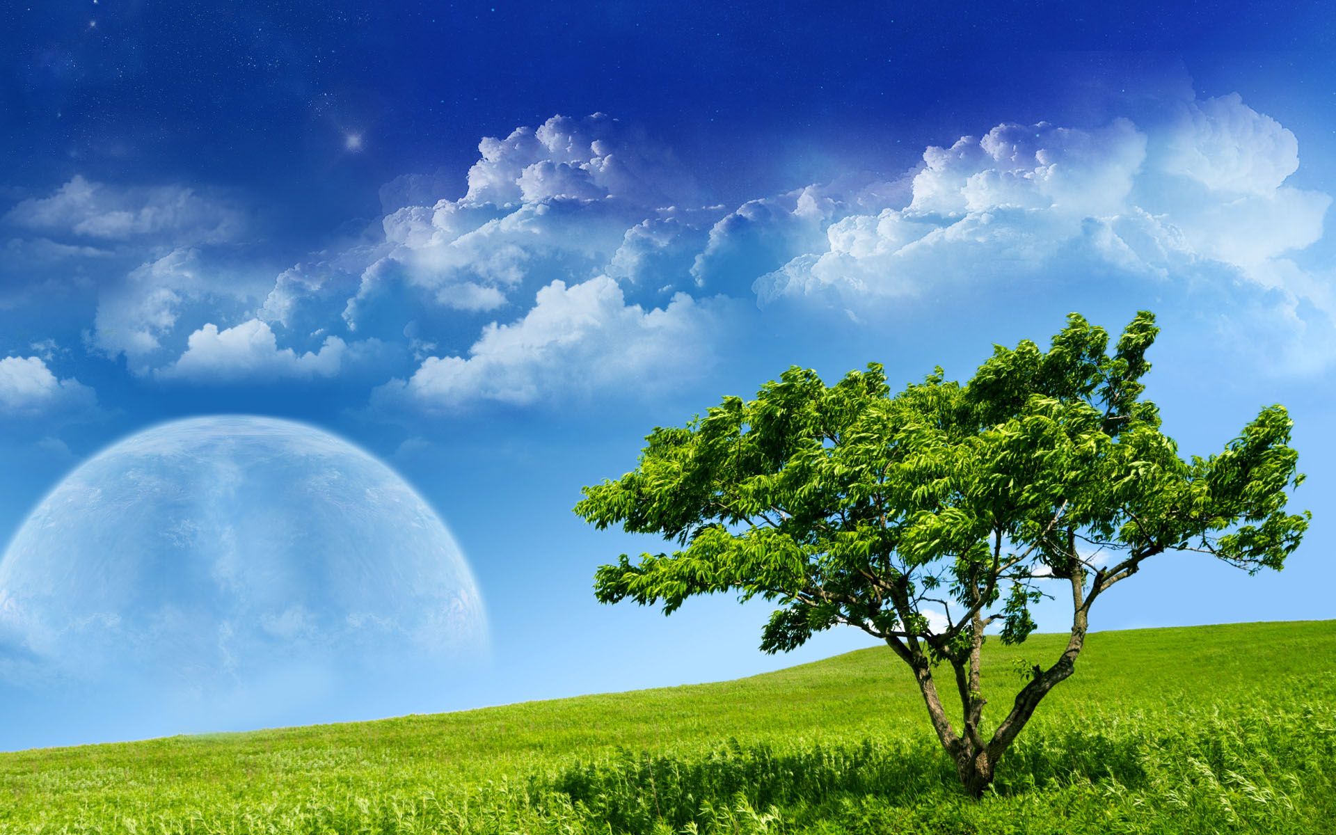 tree, Grass, Sky, Planet, Mood Wallpaper HD / Desktop and Mobile Background