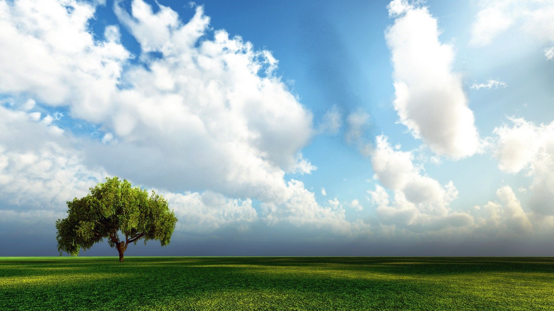 A lonely tree. Beautiful sky nature, Nature background, Beautiful nature