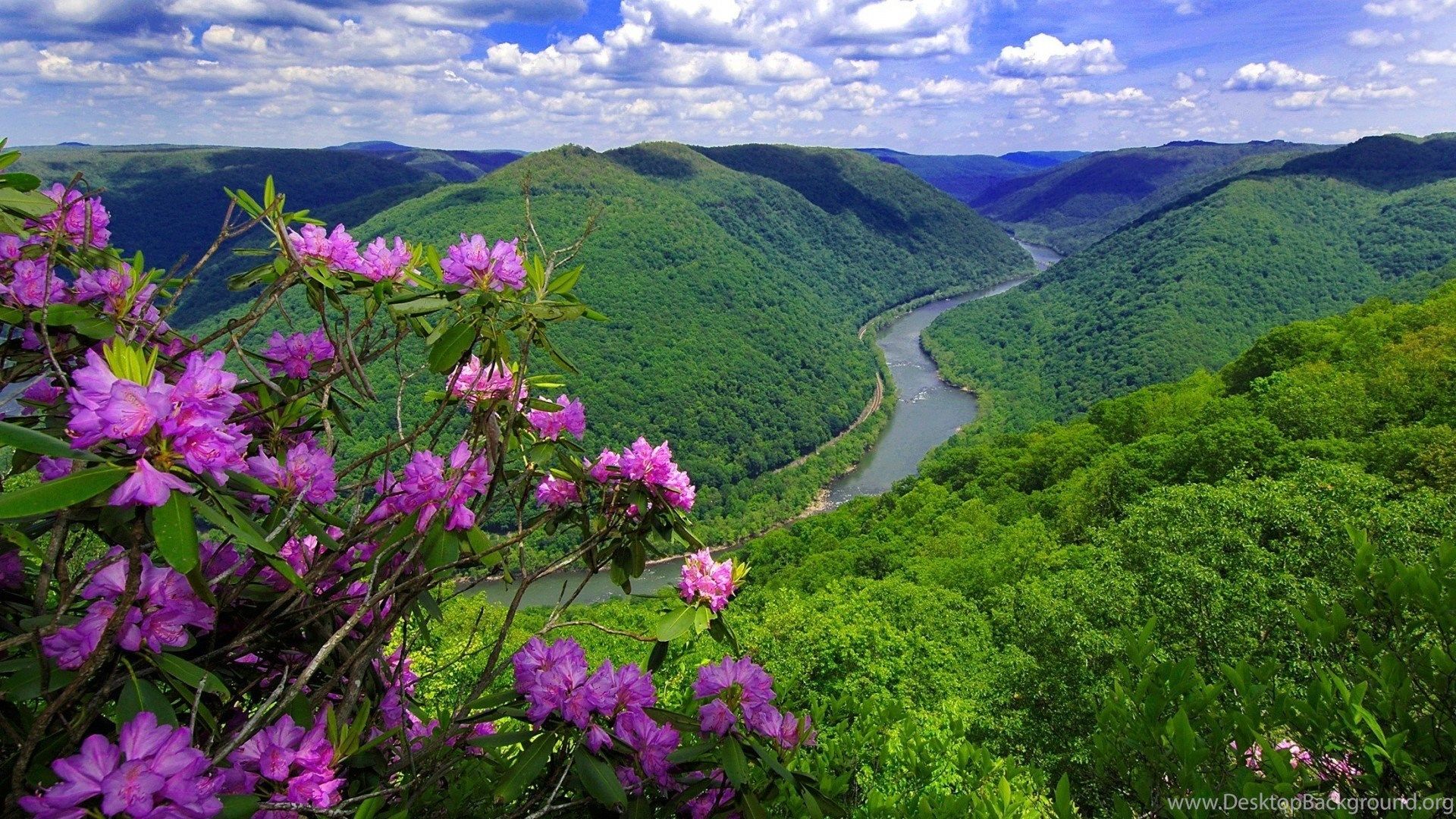 Wallpaper River, Flowers, USA, Hill, Spring, West Virginia, Gorge. Desktop Background