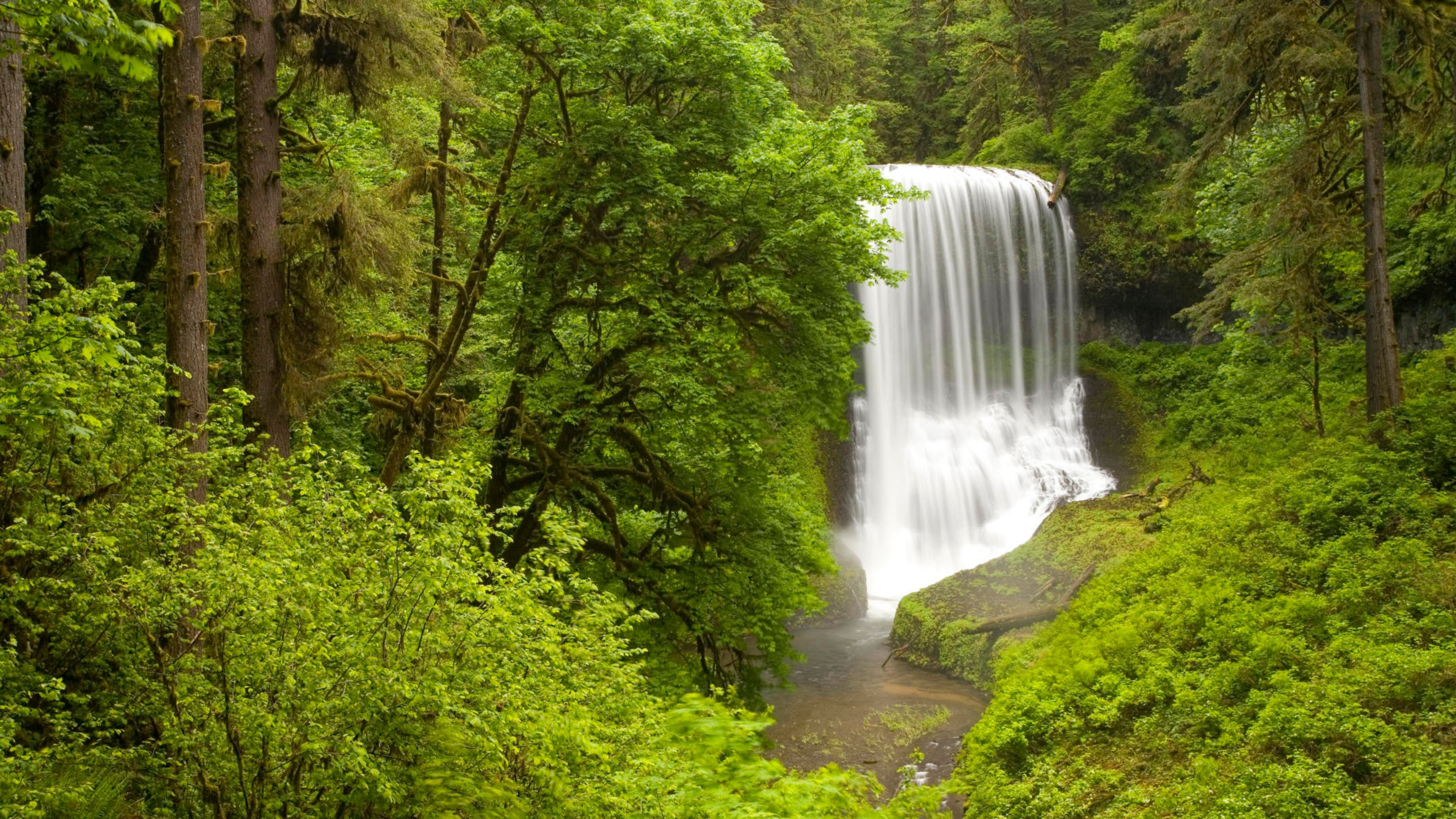 Spring Landscape Nature Waterfall Forest With Green Trees Oregon State Usa Spring 4k Wallpaper 3840x2160, Wallpaper13.com