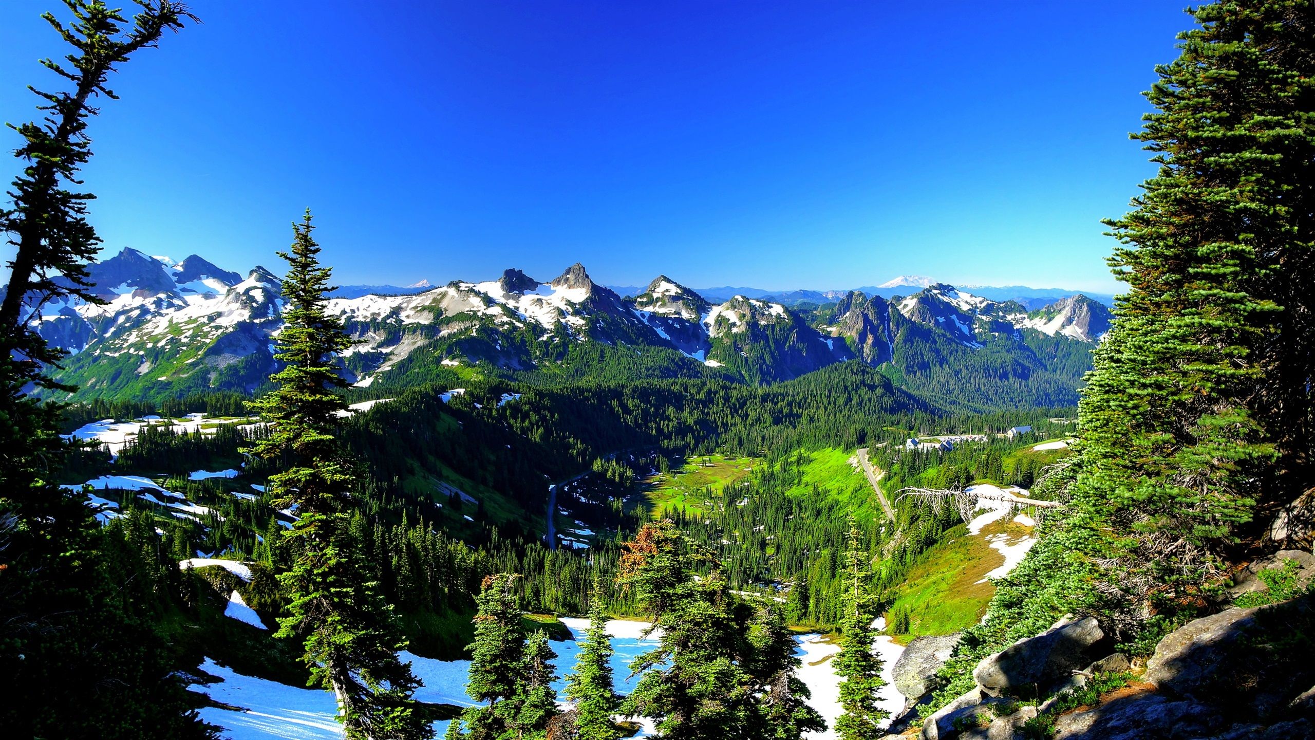 Wallpaper Mount Rainier, USA, spring, trees, mountains, snow 2560x1440 QHD Picture, Image
