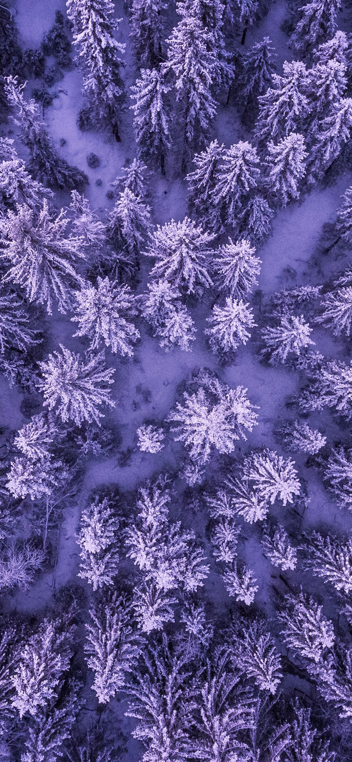 iPhone X wallpaper. nature tree purple earthview