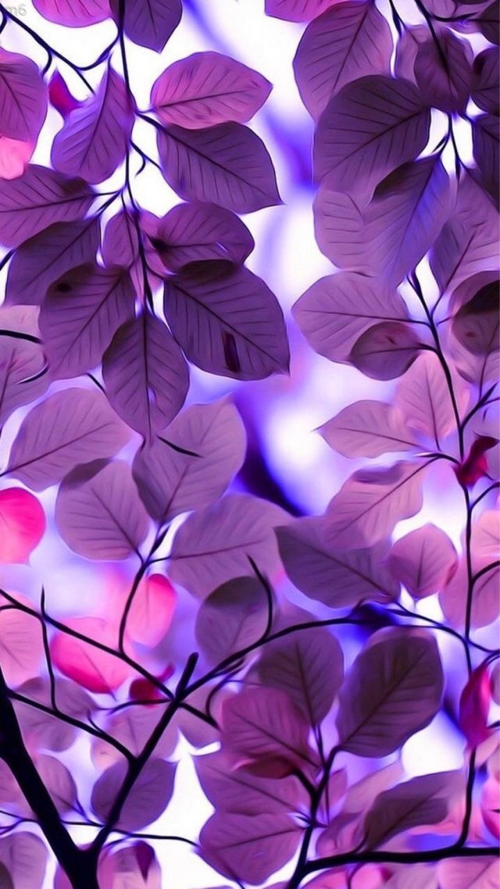 Light Purple Wallpaper For iPhone 11