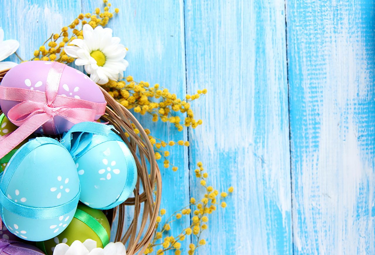 Image Easter egg acacia dealbata Holidays