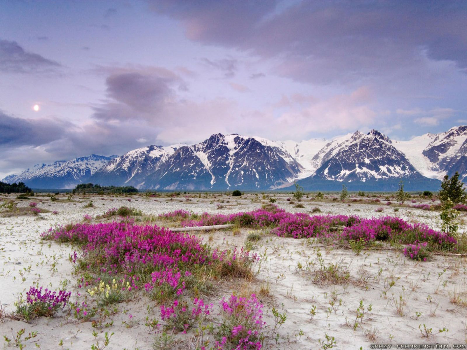 Spring Mountain wallpaper 2