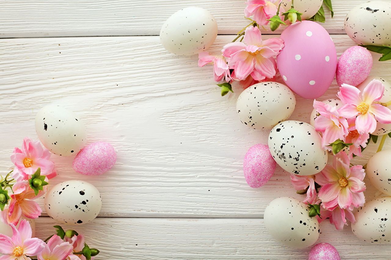 Wallpaper Easter egg Holidays