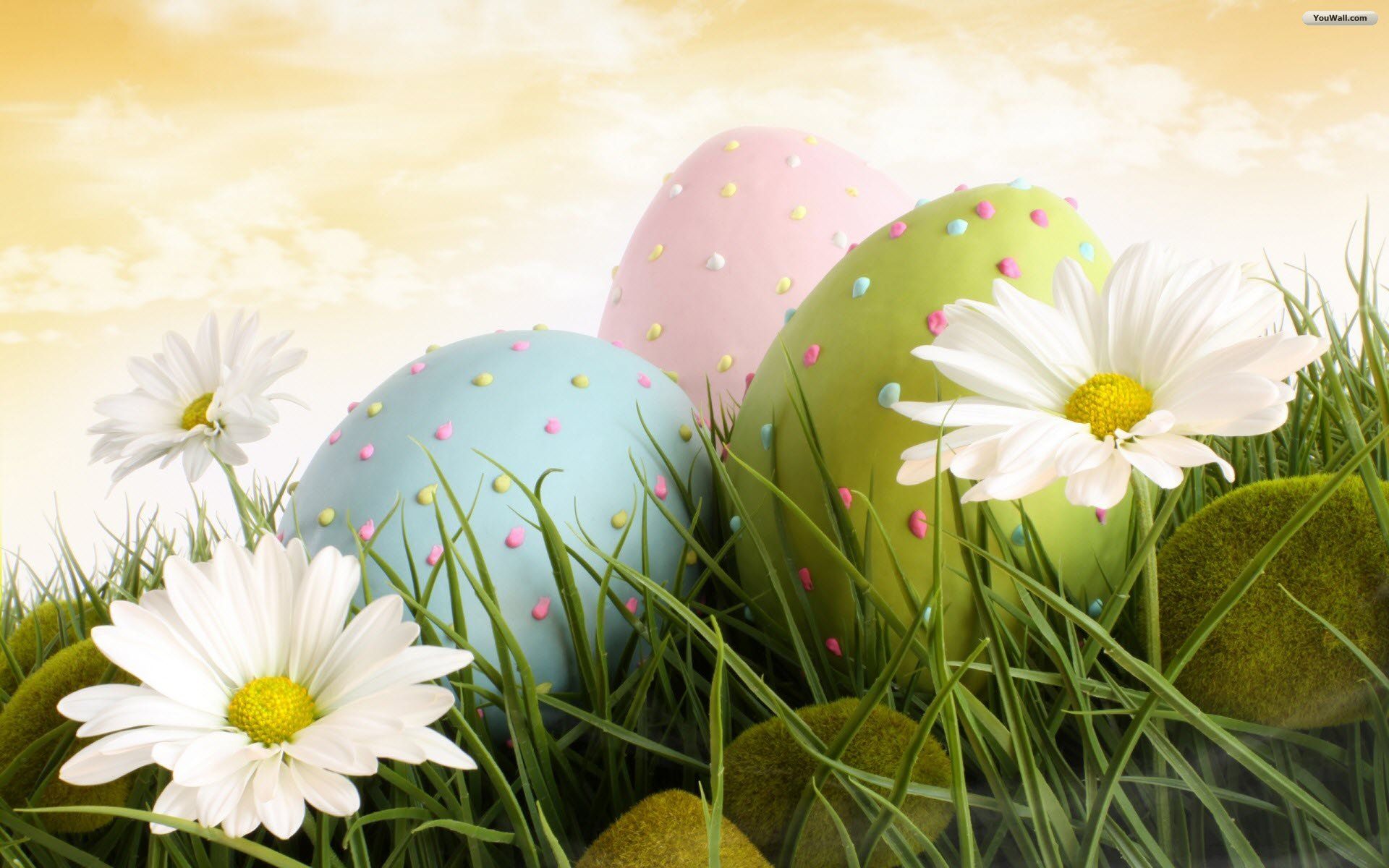 Easter Background Flowers And Easter Eggs