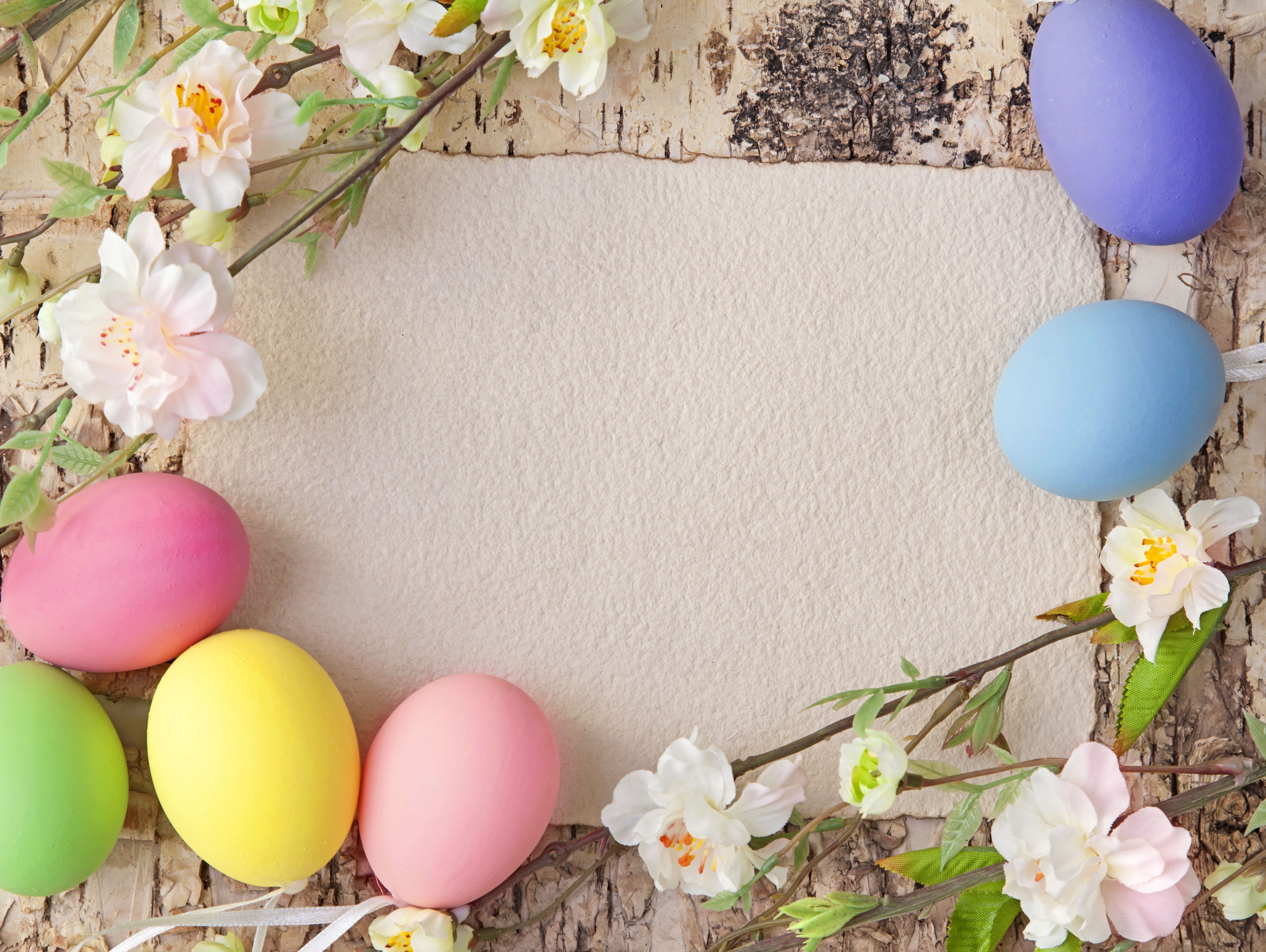 Easter Background With Eggs And Spring Branches Quality Image And Transparent PNG Free Clipart