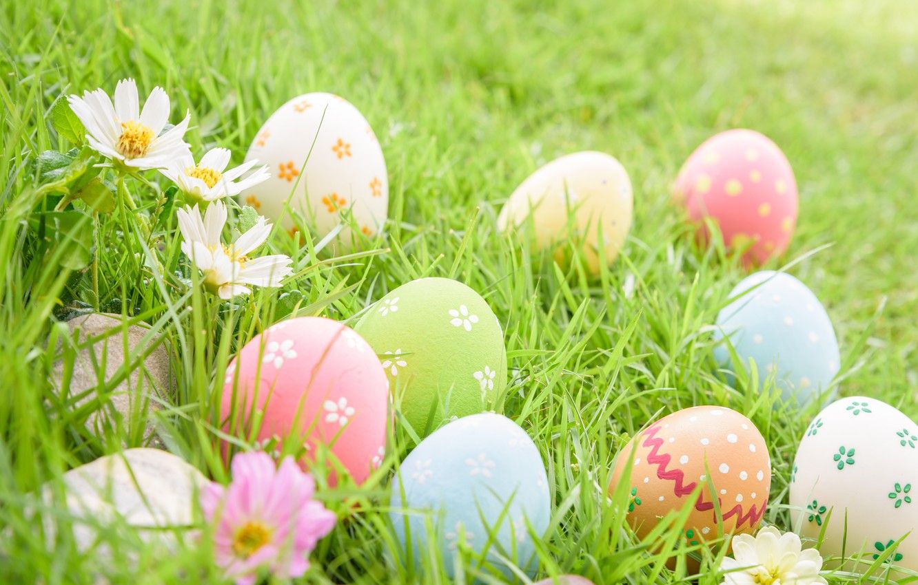 Wallpaper grass, flowers, eggs, Easter, flowers, spring, Easter, eggs, decoration, pastel colors image for desktop, section праздники