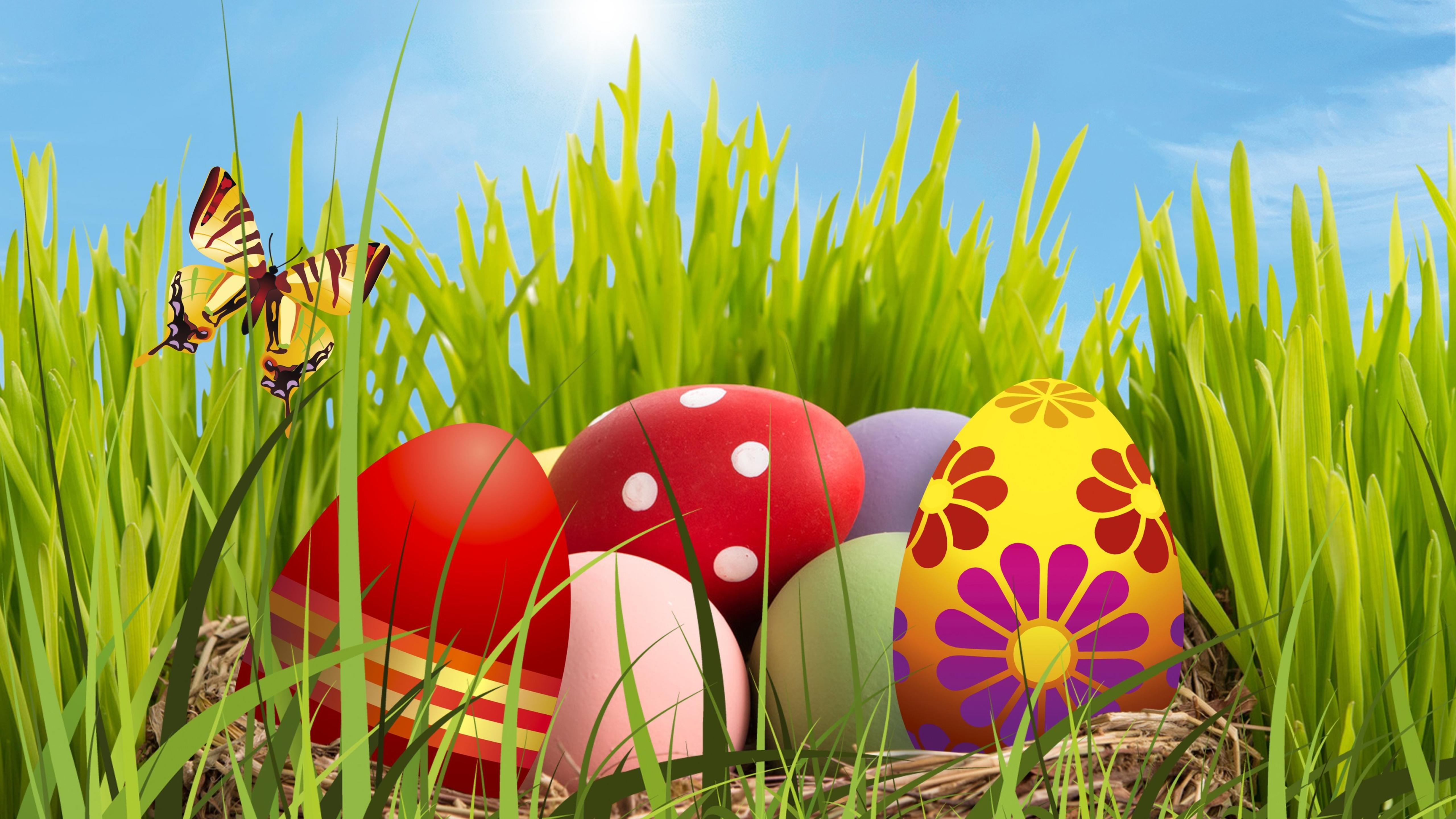 Colourful Easter Eggs in the grass
