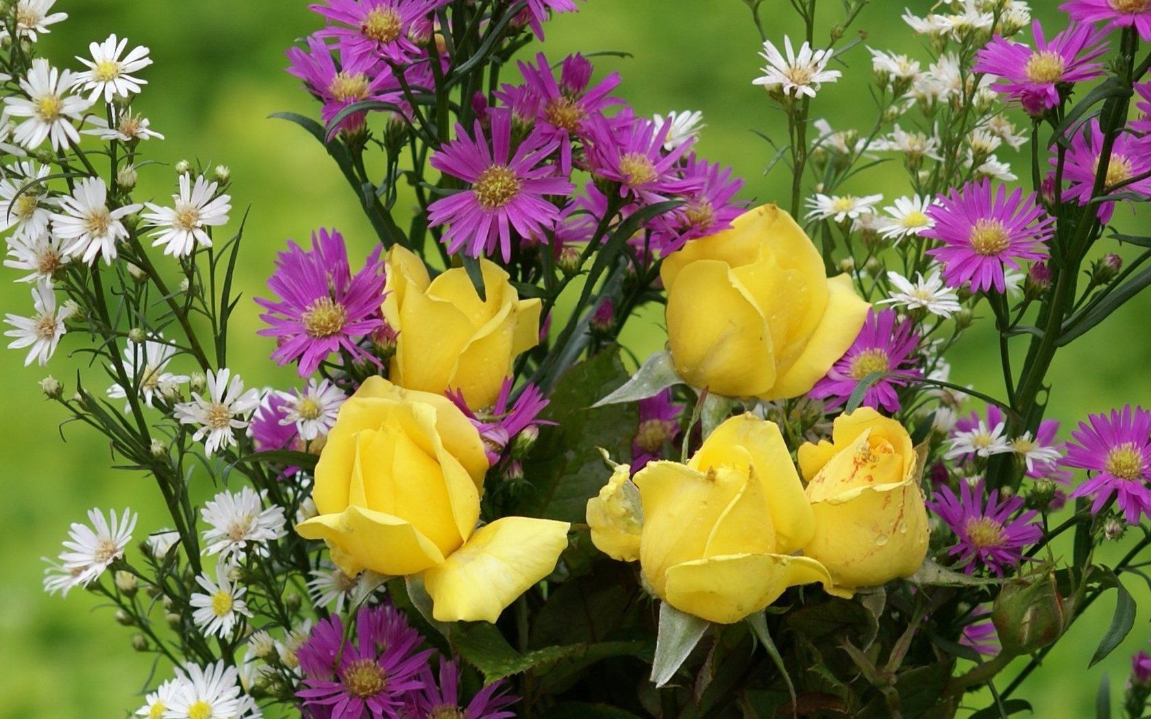 Most Beautiful Flowers Wallpaper. The most beautiful Flower Wallpaper of the World. Beautiful flowers wallpaper, Picture of yellow roses, Beautiful flowers
