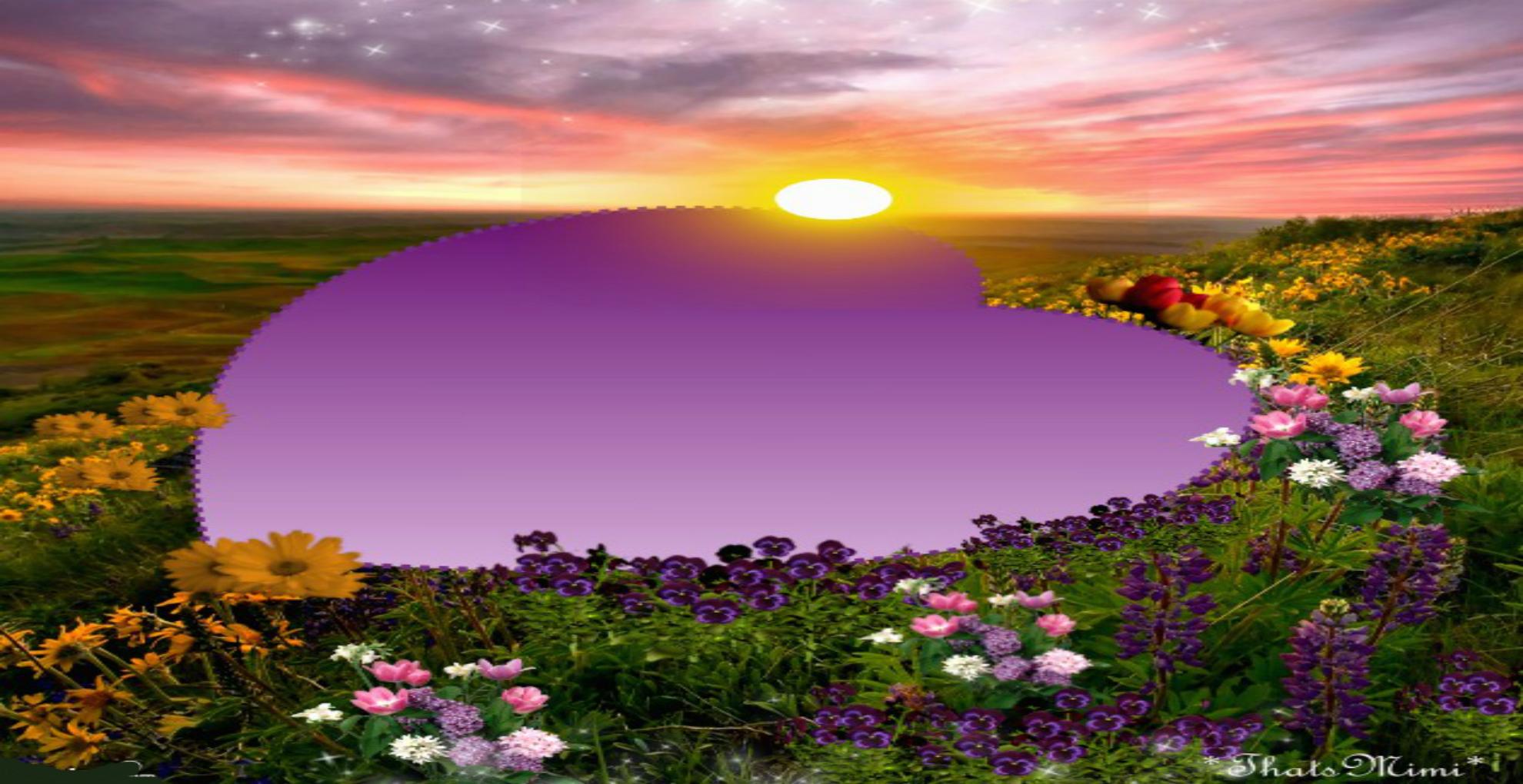 Free download Spring love sunset HQ WALLPAPER 136453 [1980x1020] for your Desktop, Mobile & Tablet. Explore Spring Sunset Wallpaper. Sunset Wallpaper Desktop, Free Sunset Wallpaper for Desktop, Cool Sunset Wallpaper