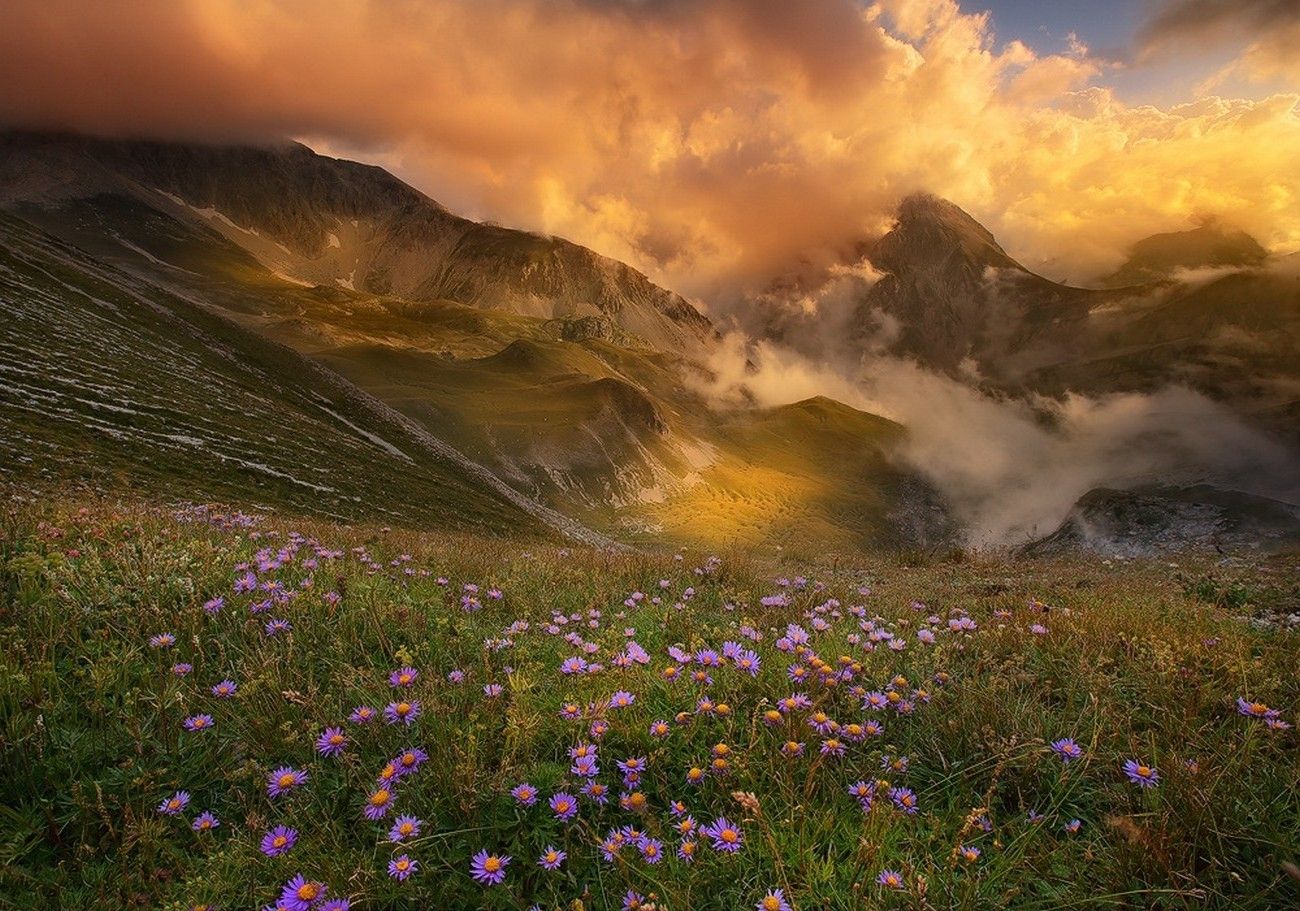 mountain sunset clouds flowers valley spring nature landscape wallpaper and background