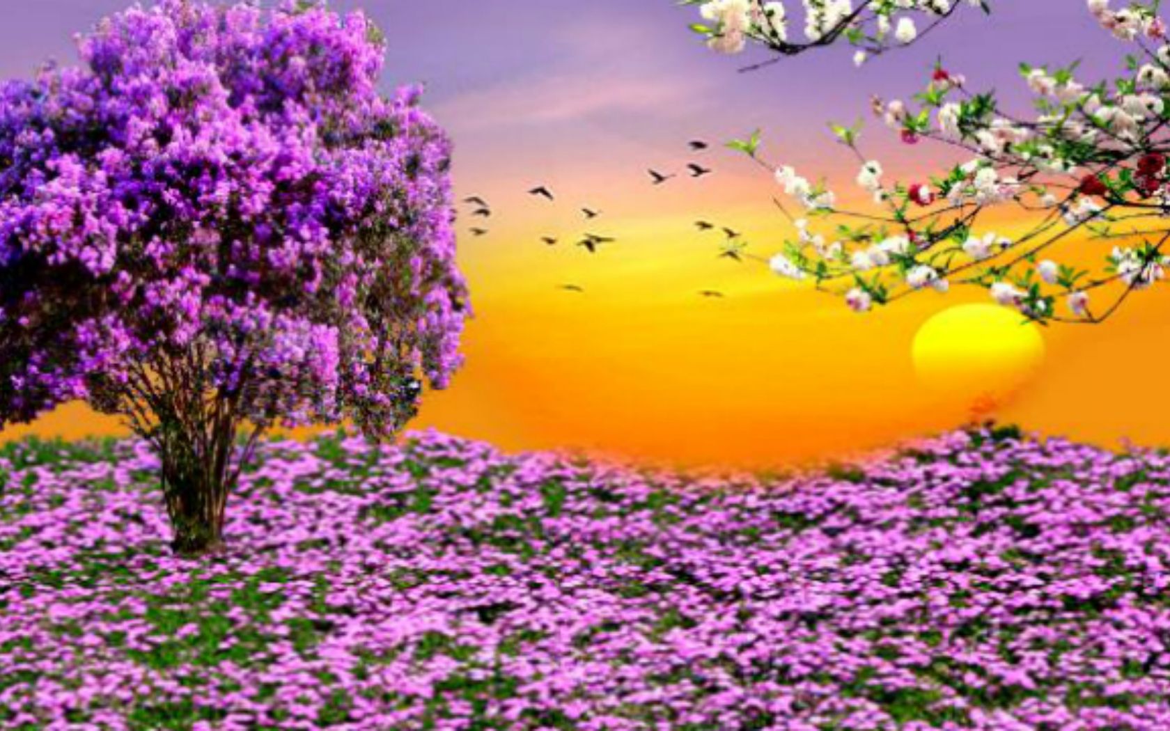 Free download Nature Spring Purple Flowers Garden Sunset HD Wallpaper For Desktop [1920x1080] for your Desktop, Mobile & Tablet. Explore HD Spring Desktop Wallpaper. Free Desktop Wallpaper Spring, 3D