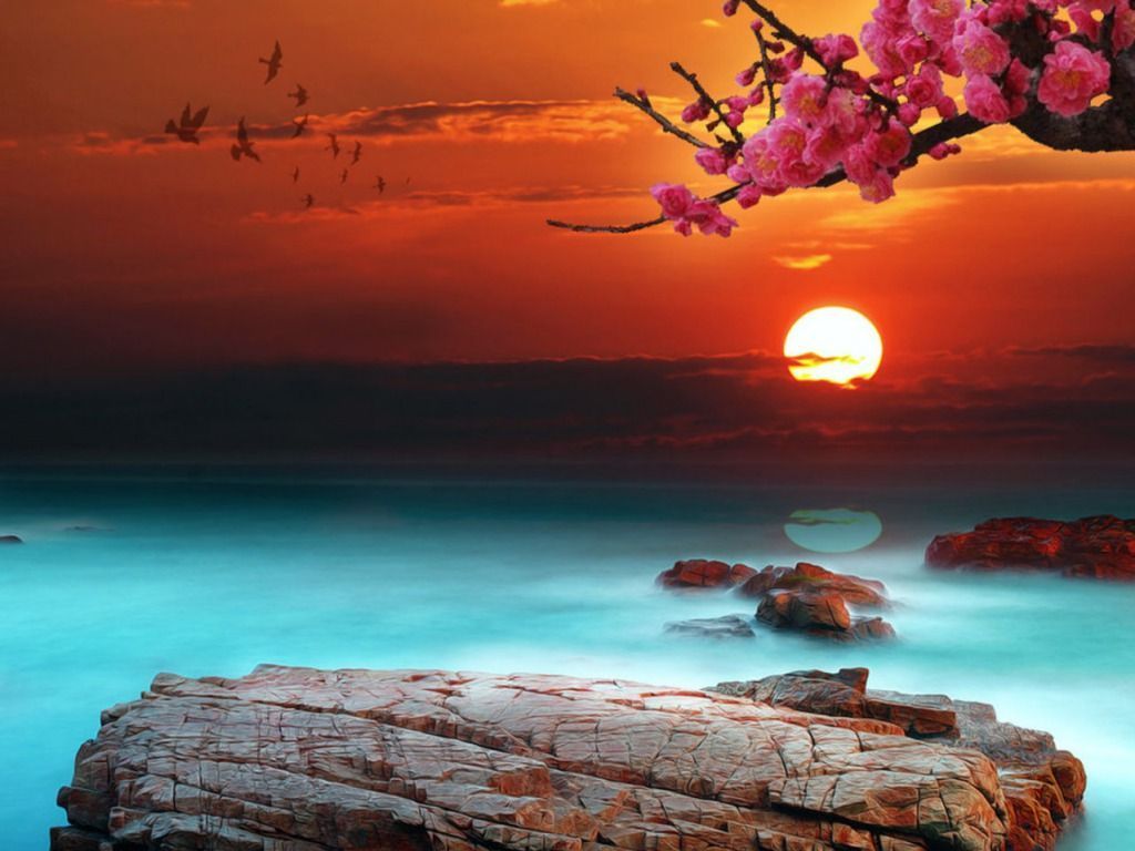 Sunset Desktop Background. One HD Wallpaper Picture Background