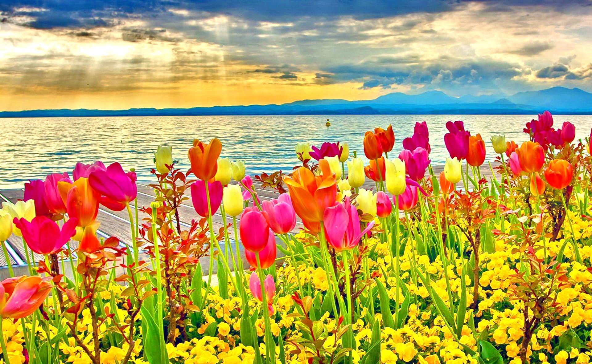 Spring Sunset At Lake Garda Desktop Background