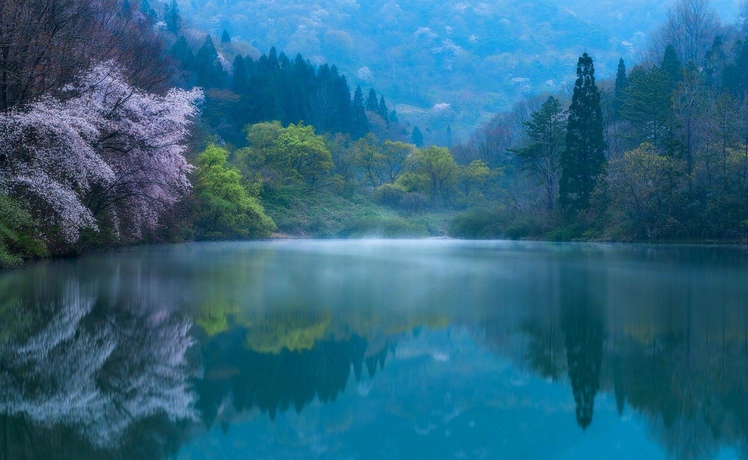 nature, Photography, Landscape, Lake, Forest, Spring, Morning, Reflections, Hills, Blossoms, Sunlight, Mist, Blue, South Korea Wallpaper HD / Desktop and Mobile Background