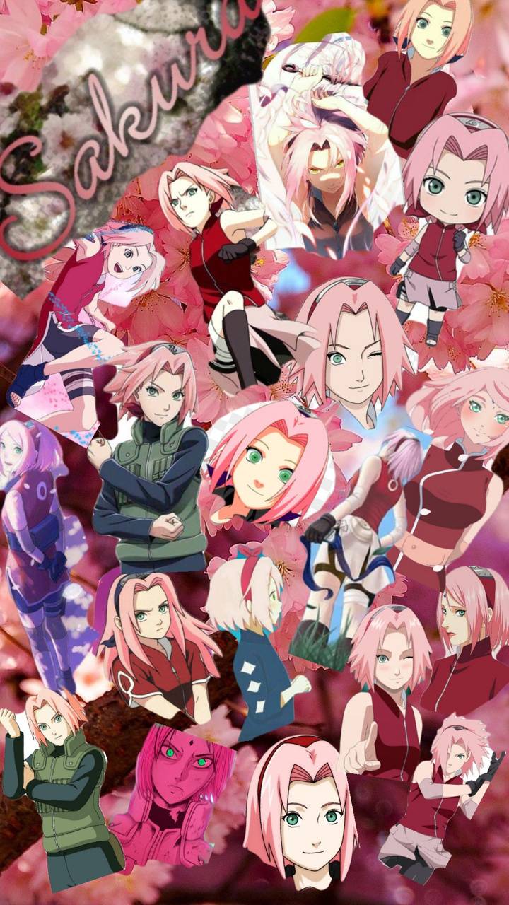Naruto- Sakura wallpaper