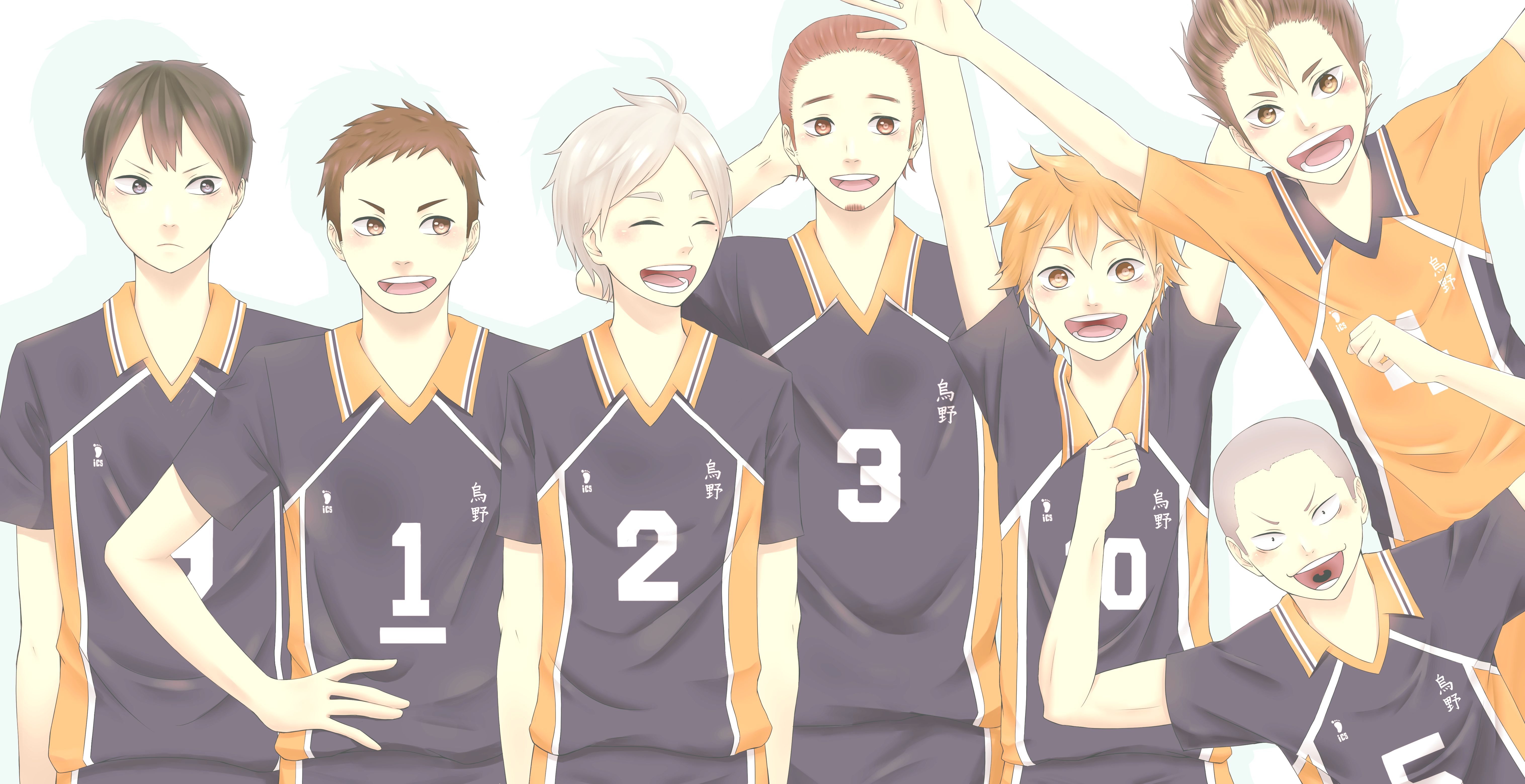 Karasuno Team Wallpapers Wallpaper Cave