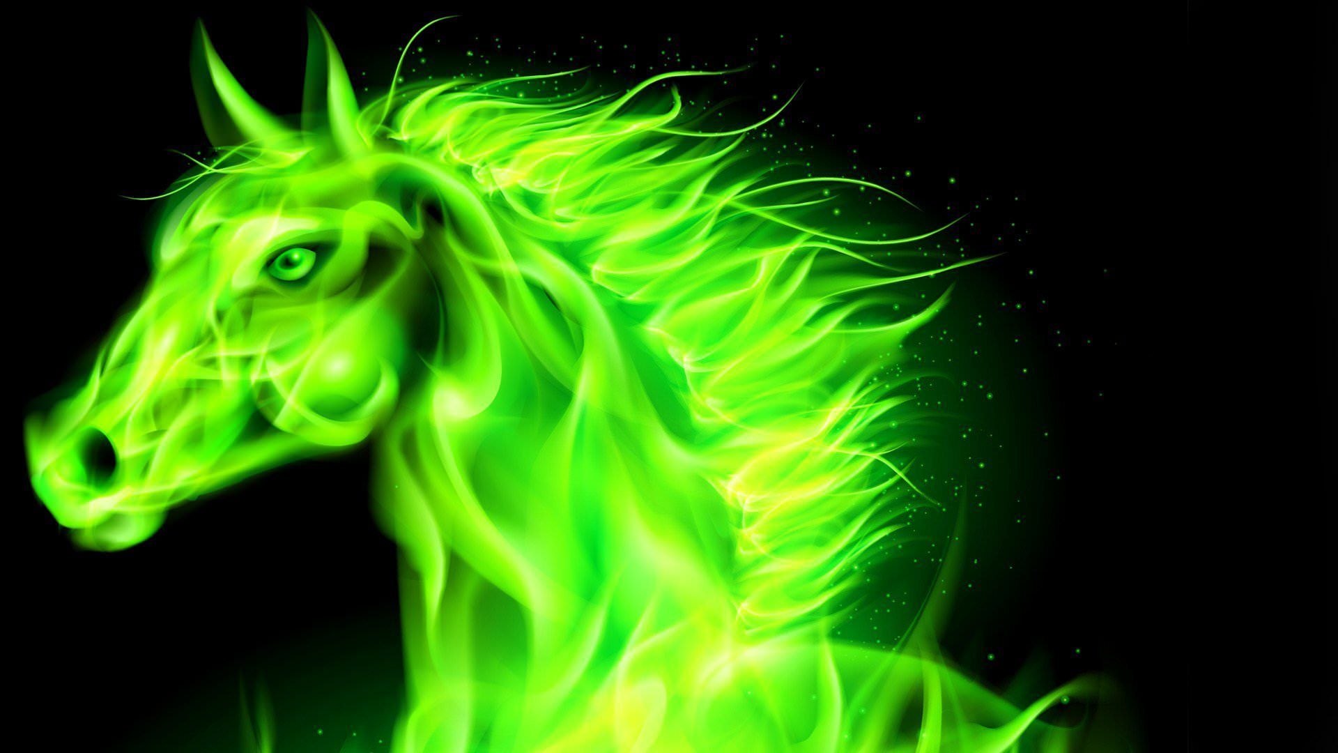 beautifl green horse. Horse wallpaper, Neon wallpaper, Neon background