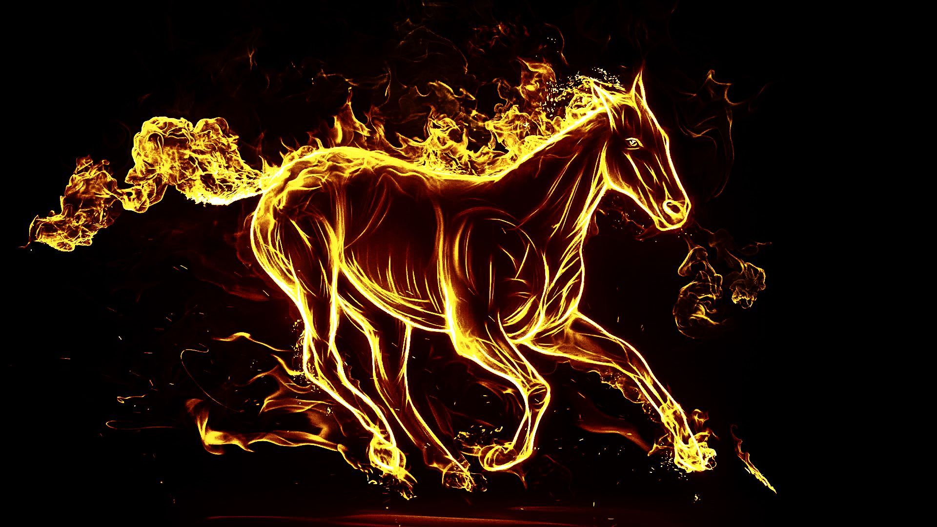 Horse on fire wallpaper 1920x1080 HD Fire horse wallpaper top free fire horse background