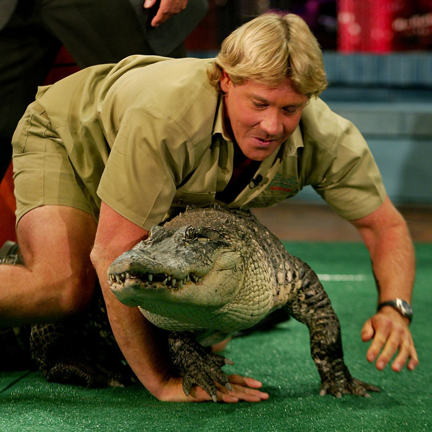 Crocodile Hunter” Steve Irwin's mission was to save wildlife. He did