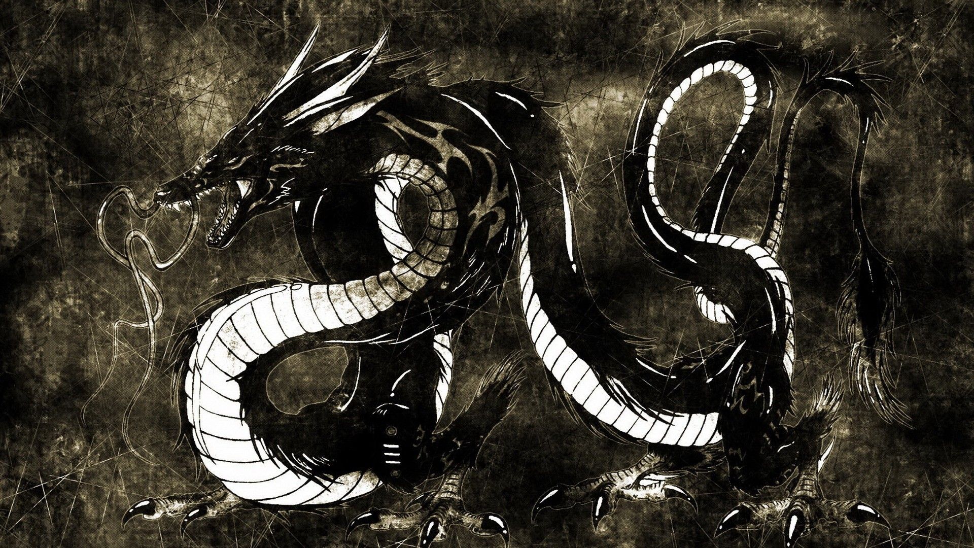 Обои дракон на черном фоне