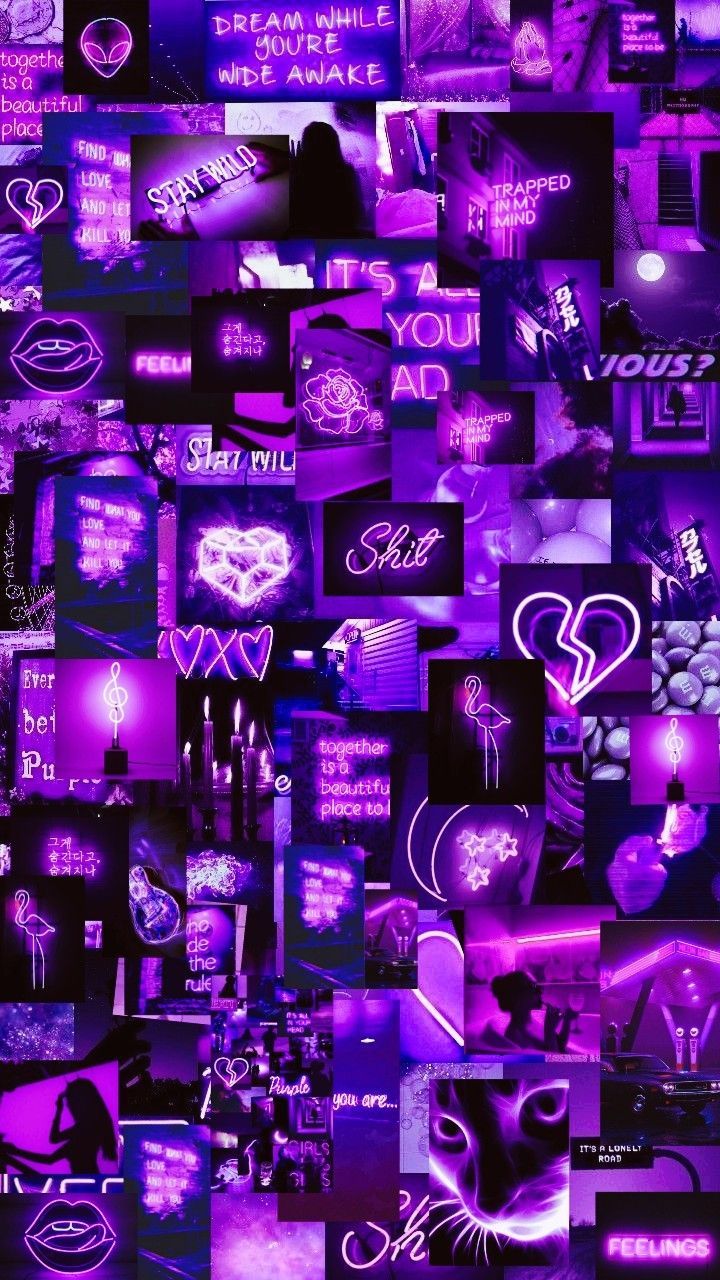 Neon Violet Wallpapers - Wallpaper Cave