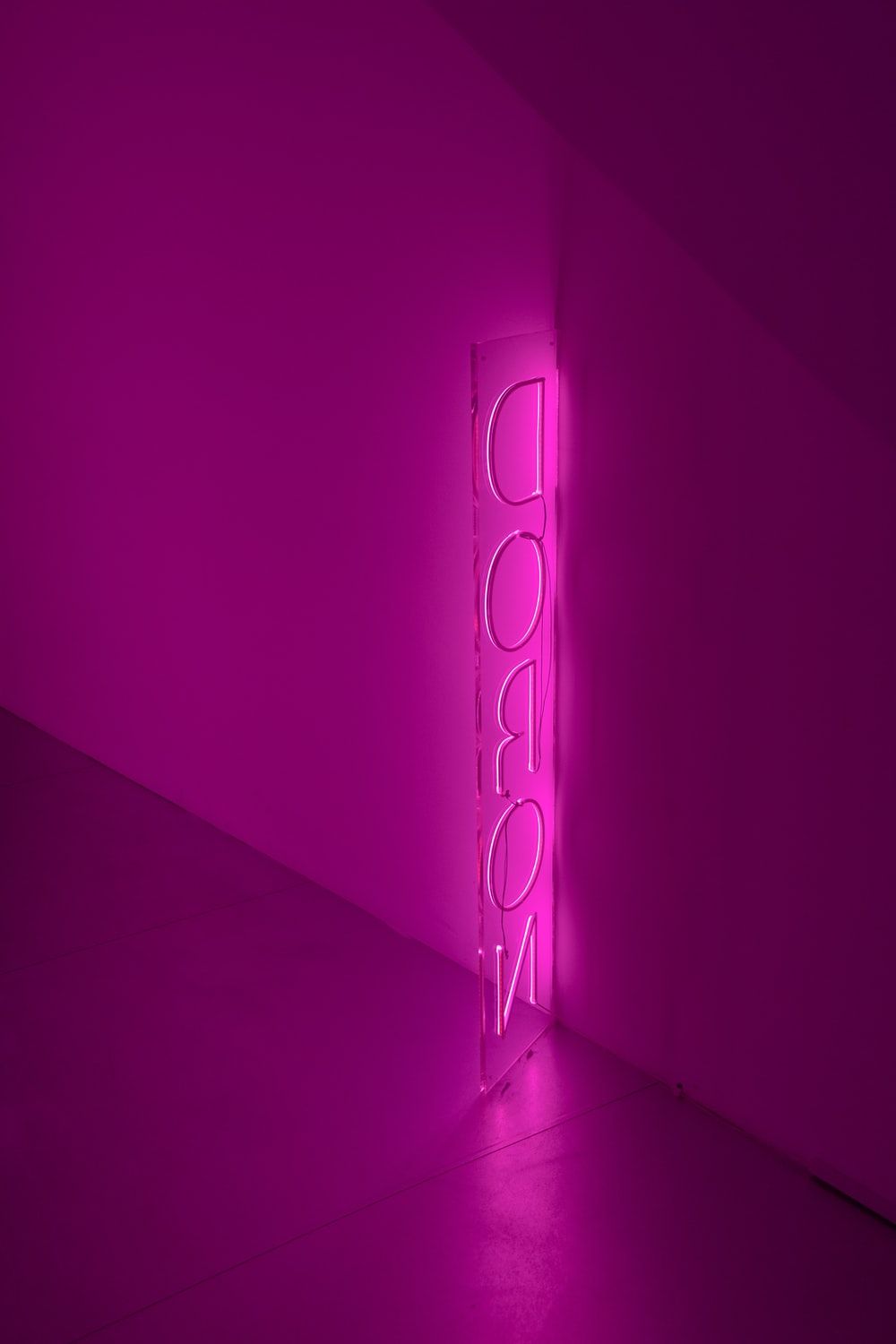 Purple Neon Picture. Download Free Image