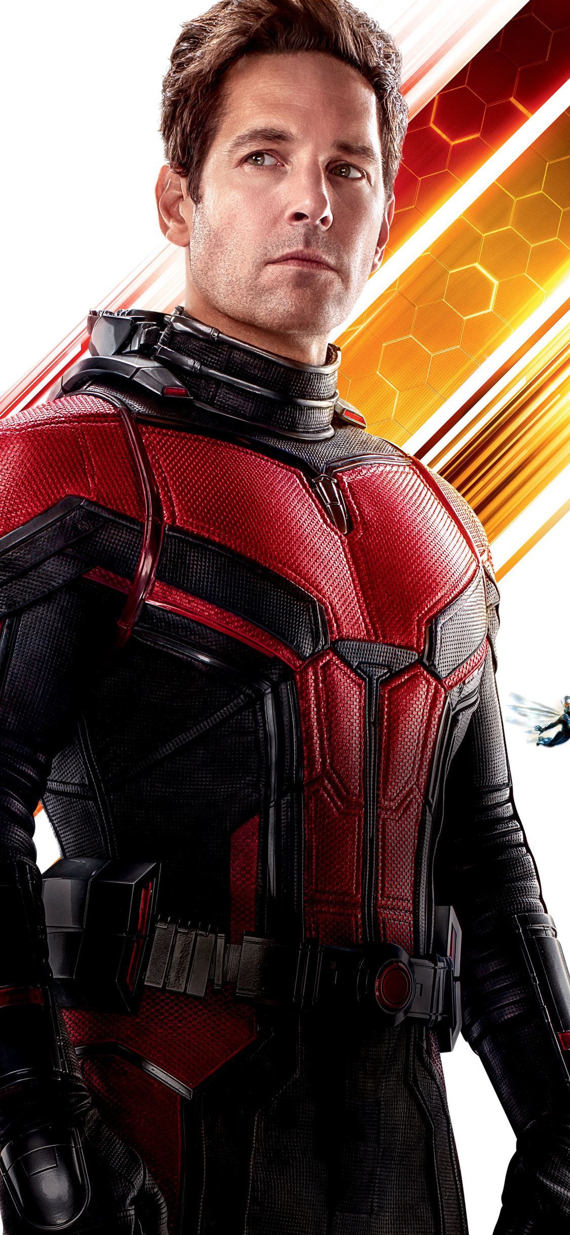 Paul Rudd As Antman In Ant Man And The Wasp 10k iPhone XS, iPhone iPhone X HD 4k Wallpaper, Im. Ant man marvel, Paul rudd ant man, Ant man scott lang