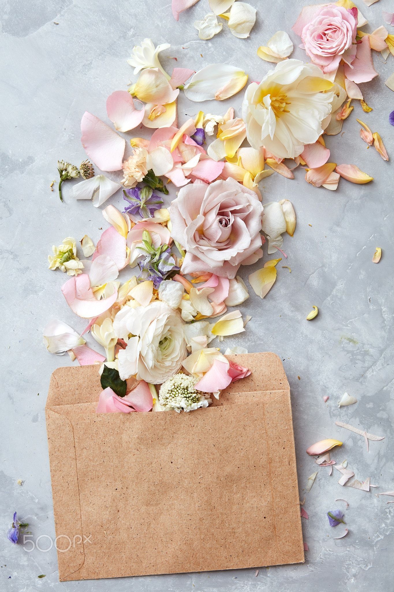 Flowers in envelope envelope fall beautiful flowers on gray concrete background, Flat lay. Floral flatlay, Flower flat lay, Flower aesthetic