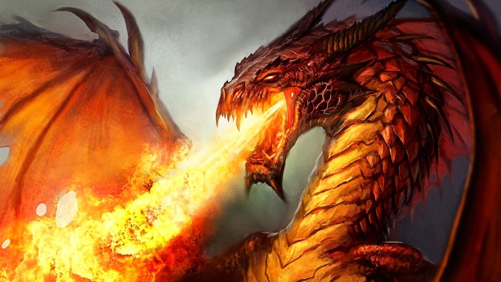 Dragon HD Wallpaper background picture