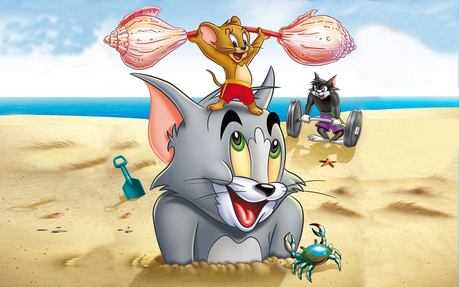 Tom and Jerry Theme & Tom and Jerry Cartoon