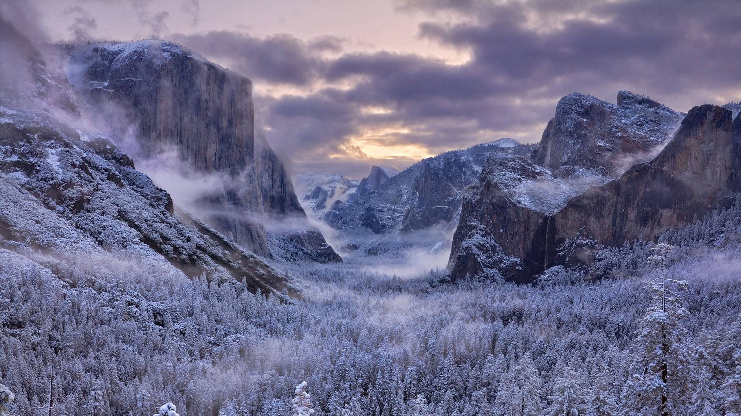 Yosemite National Park California USA Winter Snow Vapor Mist Desktop HD Wallpaper 2560x1440, Wallpaper13.com