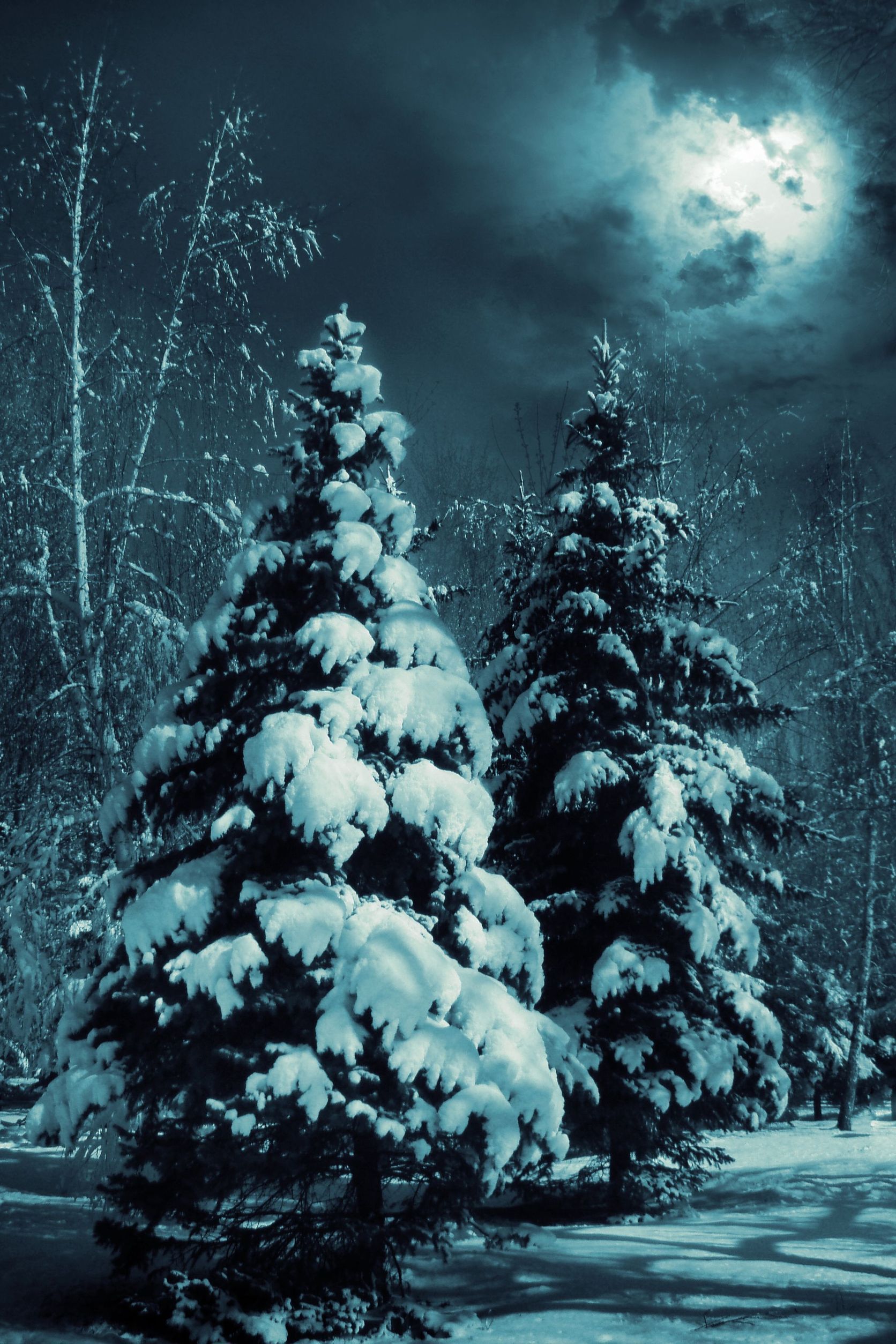 Android Free Winter Wallpaper