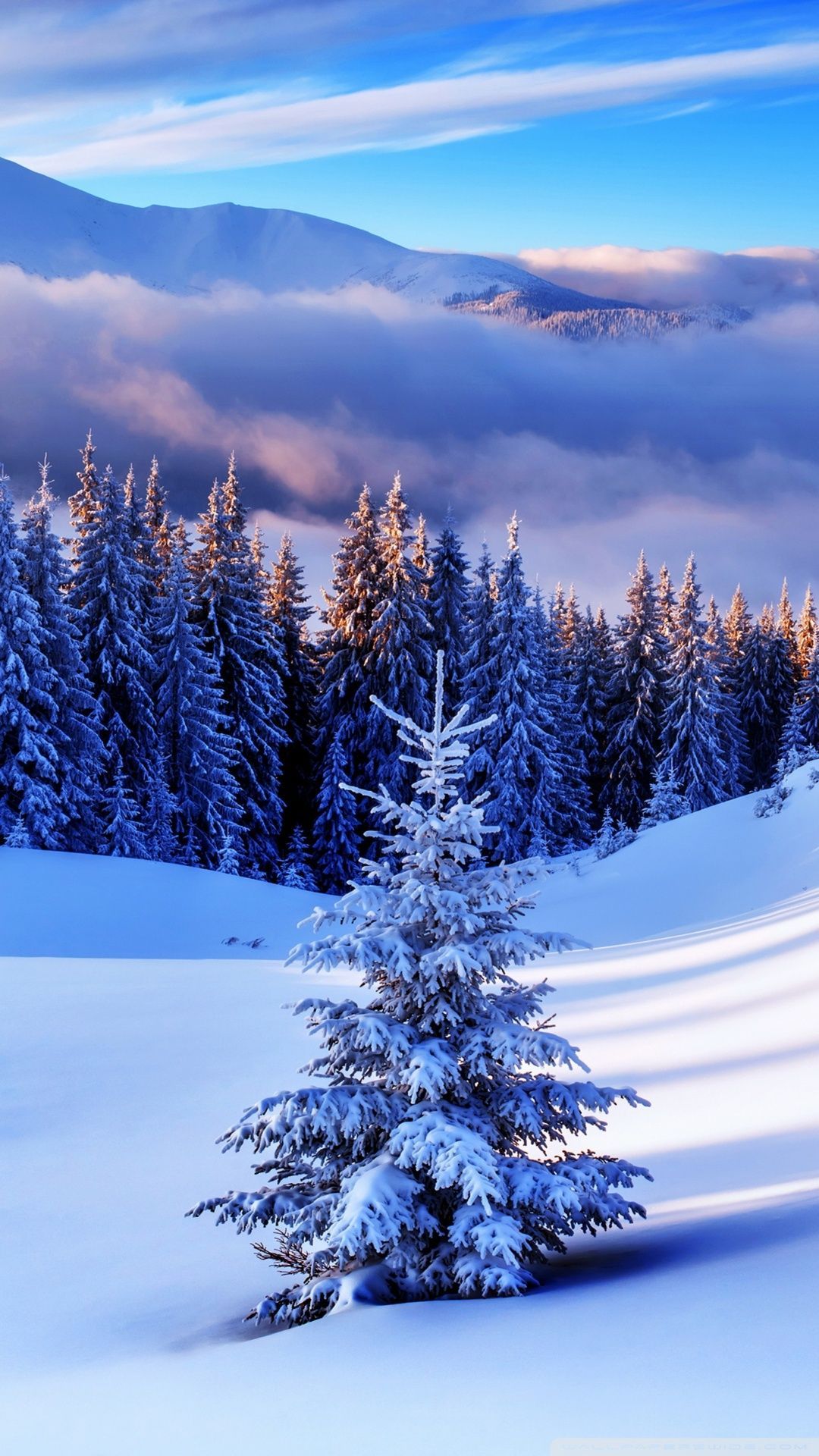 Winter Scene Mobile Phone Wallpaper Images Free Download on Lovepik   400874931