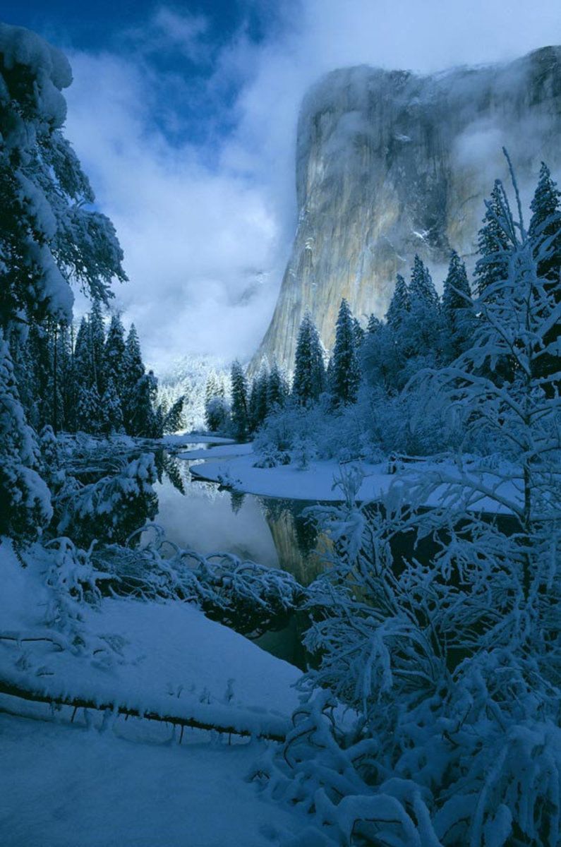 El Capitan in Winter, Yosemite National Park, California Wallpaper Mural. Murals Your Way