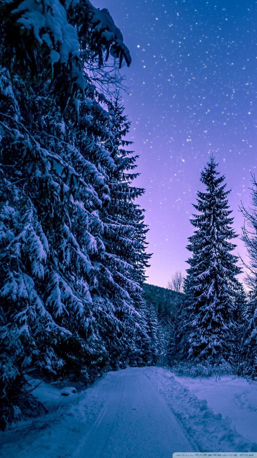 Winter Wallpaper For Android