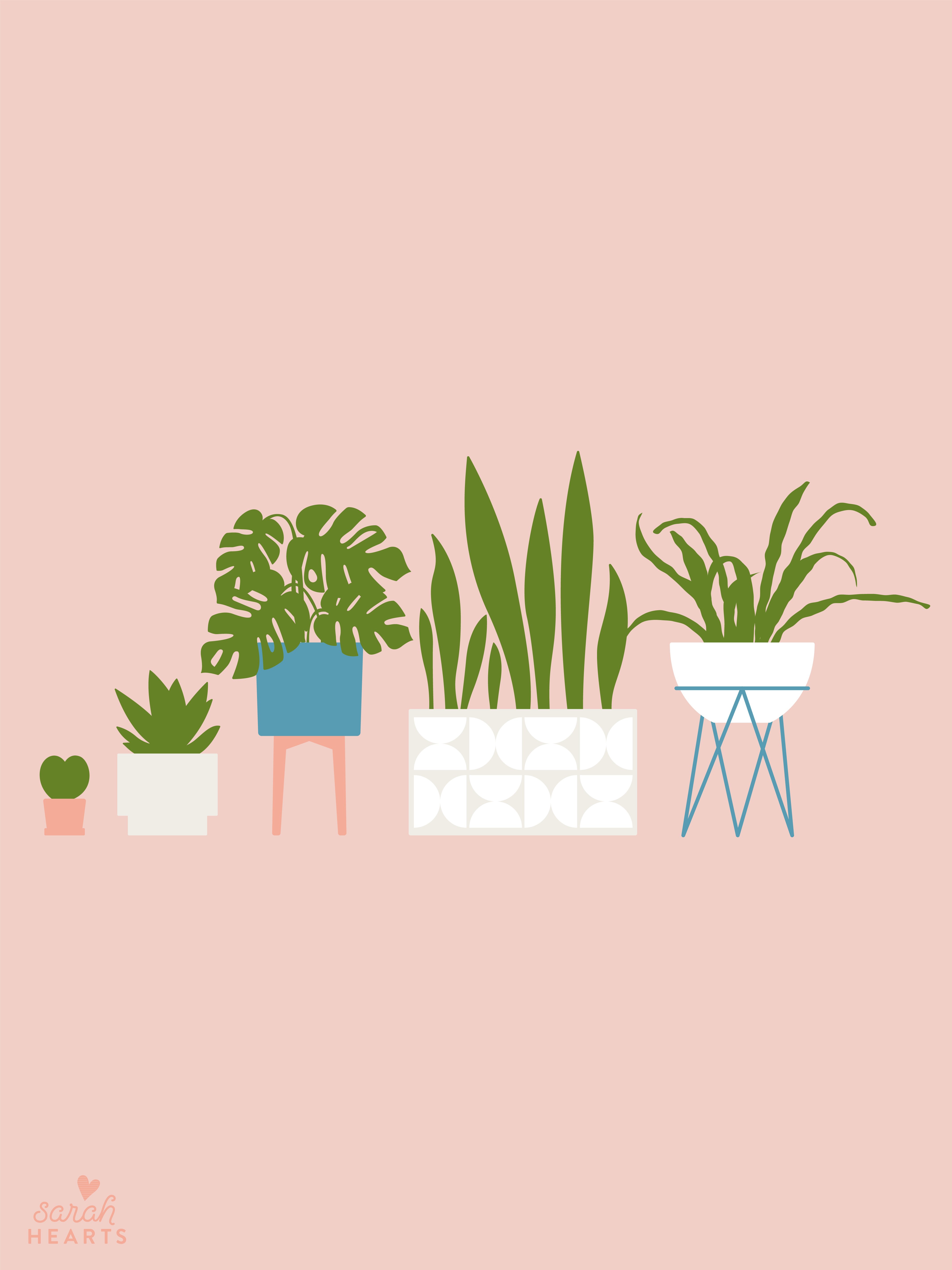 Houseplant Wallpaper