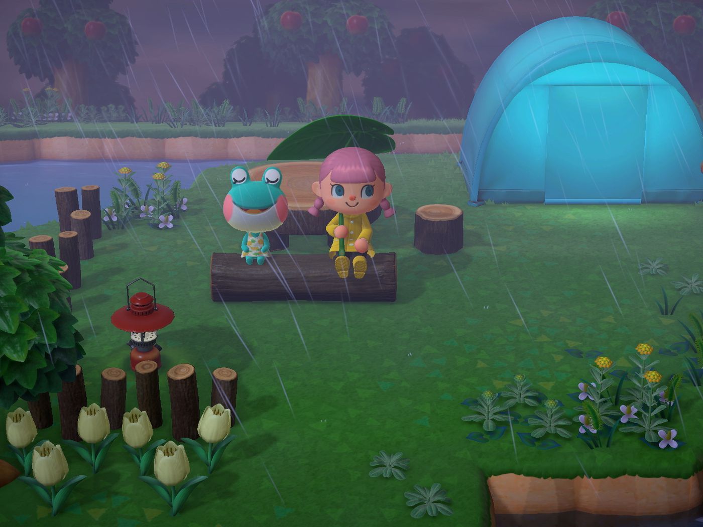 Animal Crossing frog villagers react hilariously when given frogs