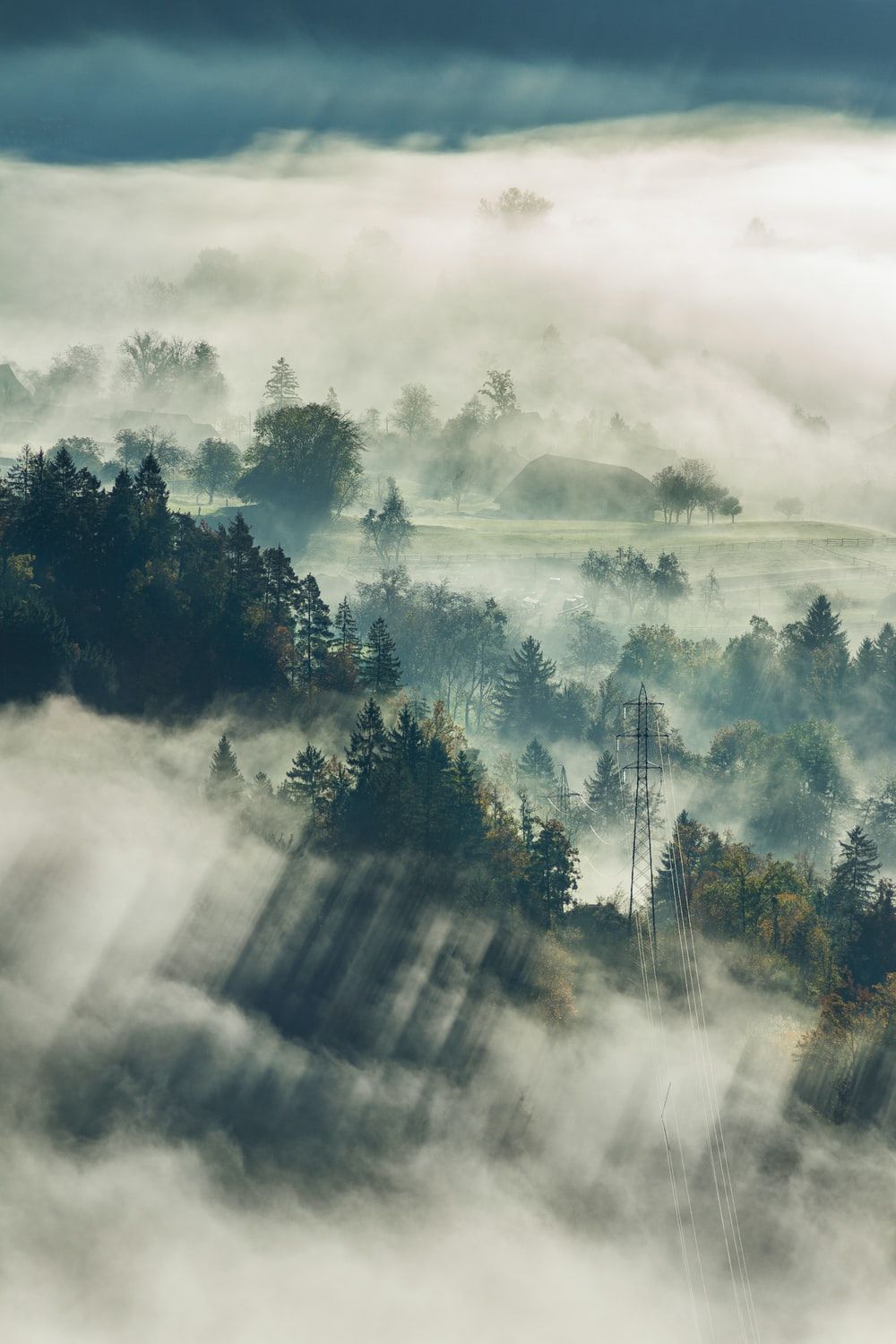 Morning Fog Picture. Download Free Image