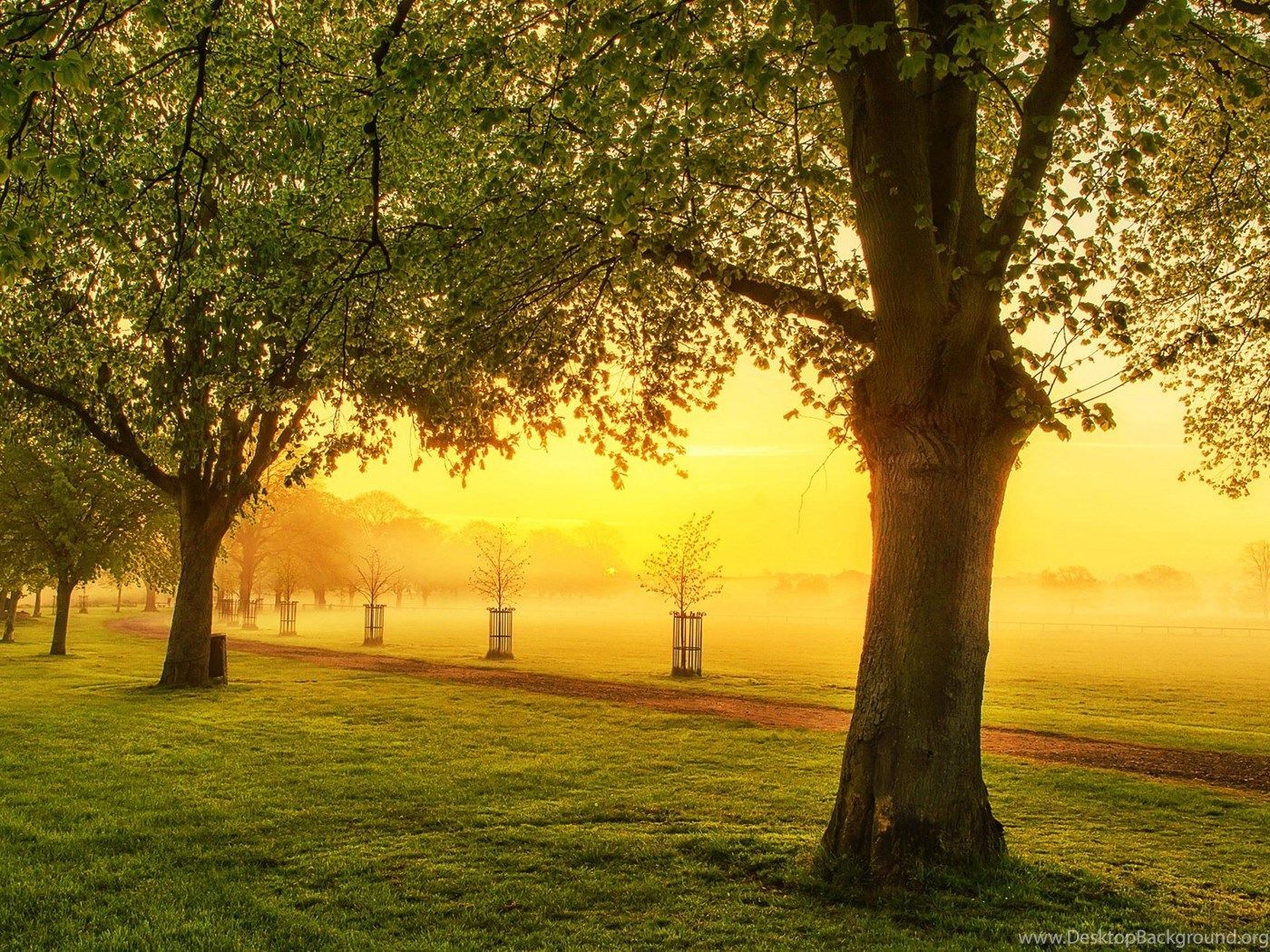 Beautiful Morning Wallpaper