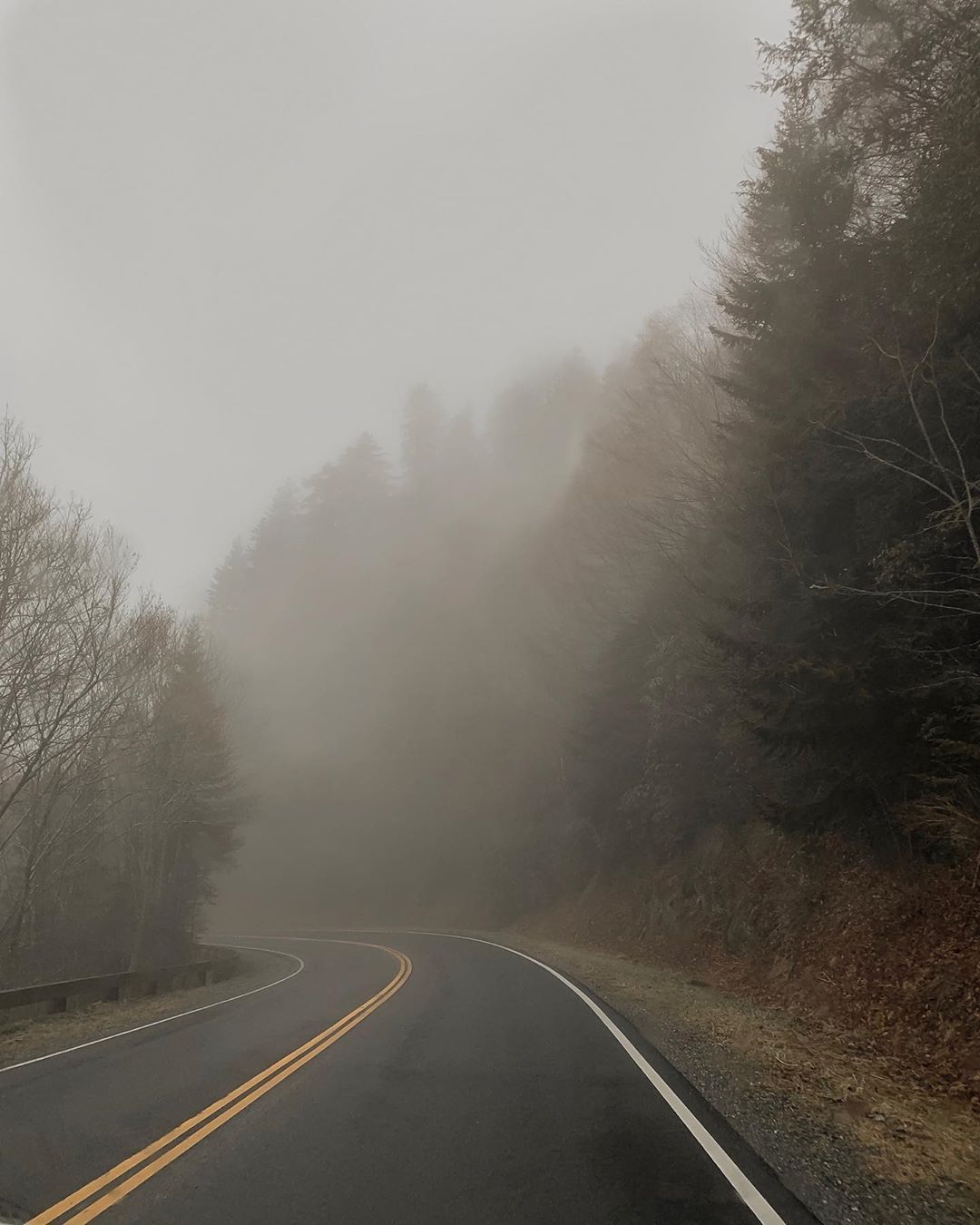 Today's foggy morning ☁️ IG:. Foggy morning, Foggy, Foggy weather