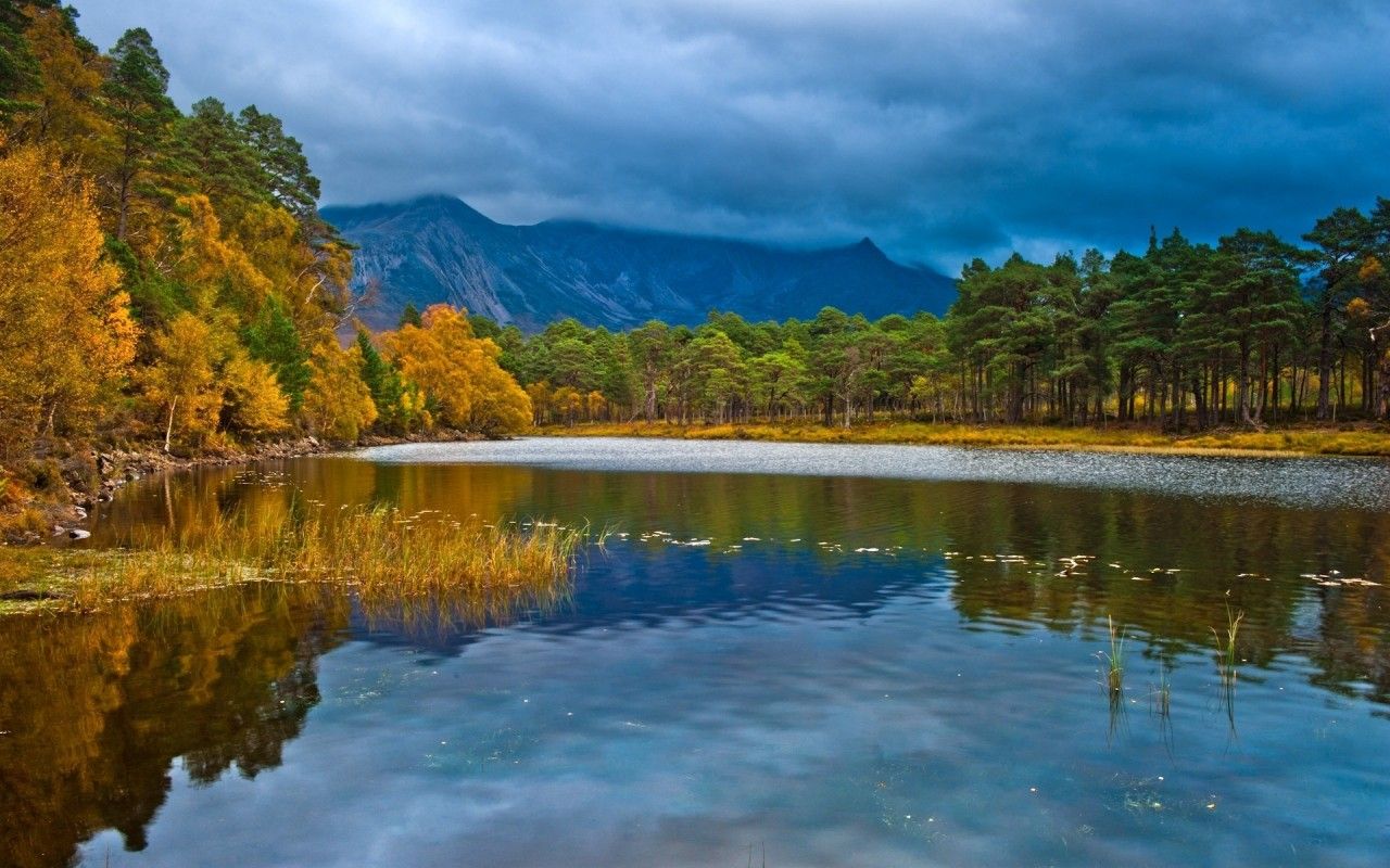 Calm Lake Calico Trees Peaks wallpaper. Calm Lake Calico Trees Peaks