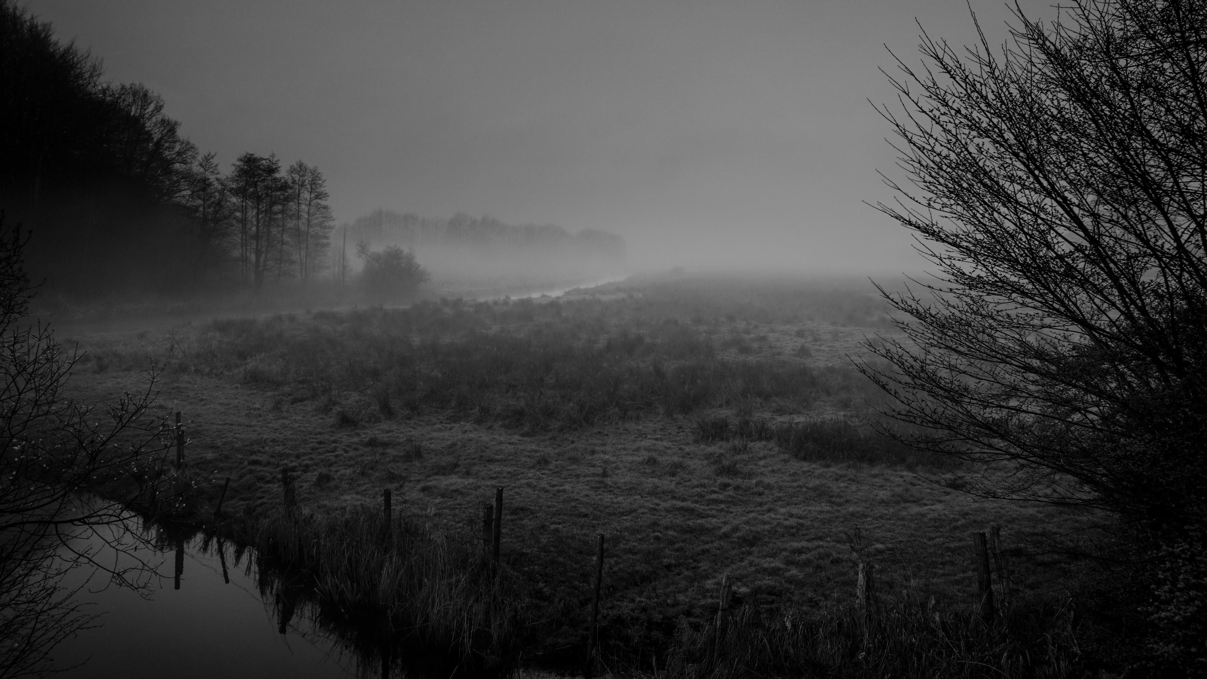 3840x Morning Fog Wallpaper