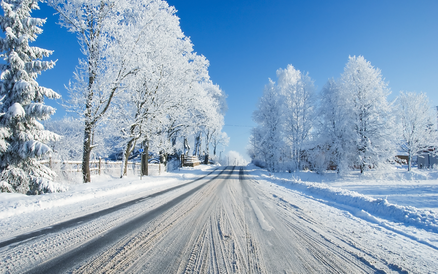 Free download First Winter Snow wallpaper The Long Goodbye [1600x1200] for your Desktop, Mobile & Tablet. Explore Winter Snow Background. Winter Snow Wallpaper, Free Winter Snow Desktop Wallpaper, Winter