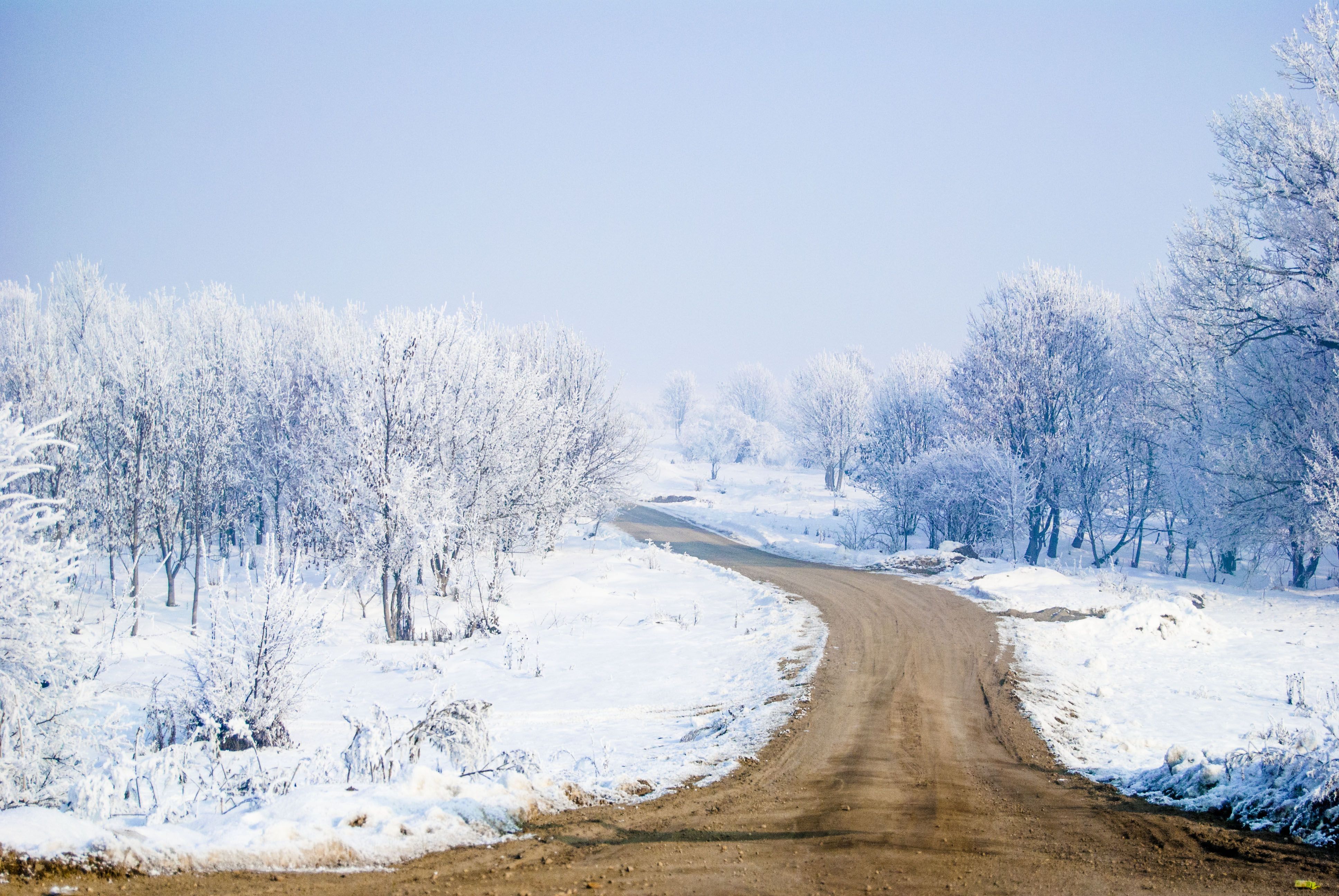 Winter #Snow #Landscape #Road #Trees #Frost. Nature wallpaper, Winter background, Winter snow wallpaper